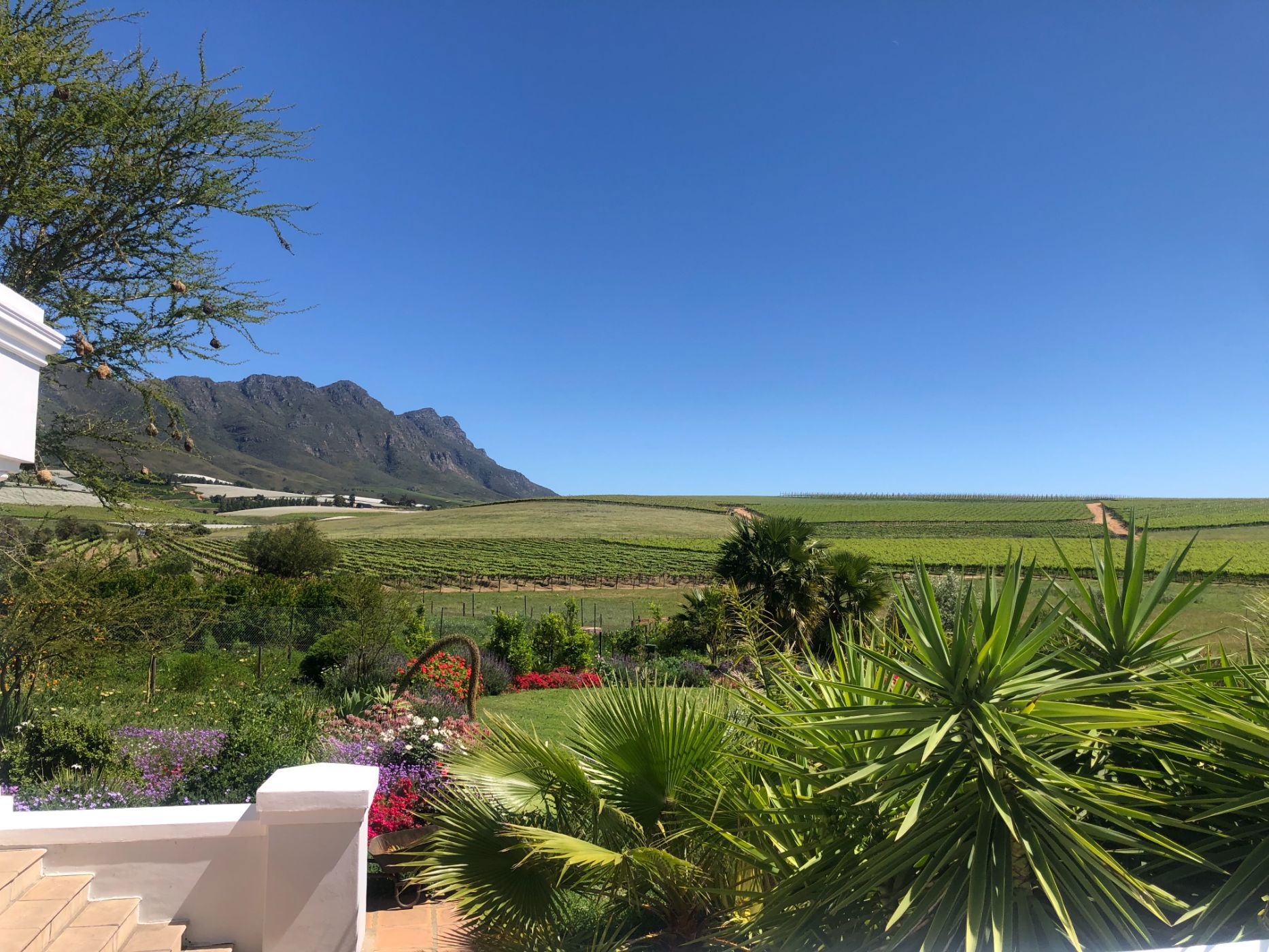 4 Bedroom House For Sale Riebeek Kasteel RV1632727 Pam Golding