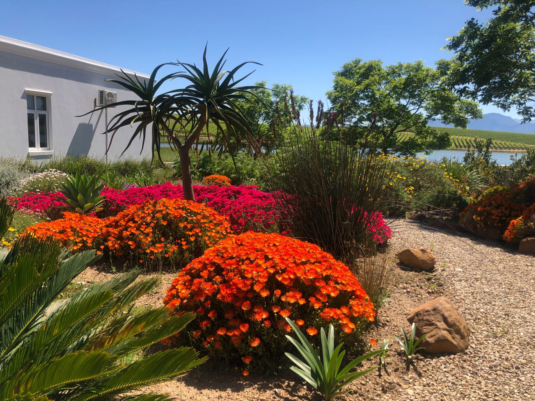 4 Bedroom House For Sale Riebeek Kasteel RV1632727 Pam Golding