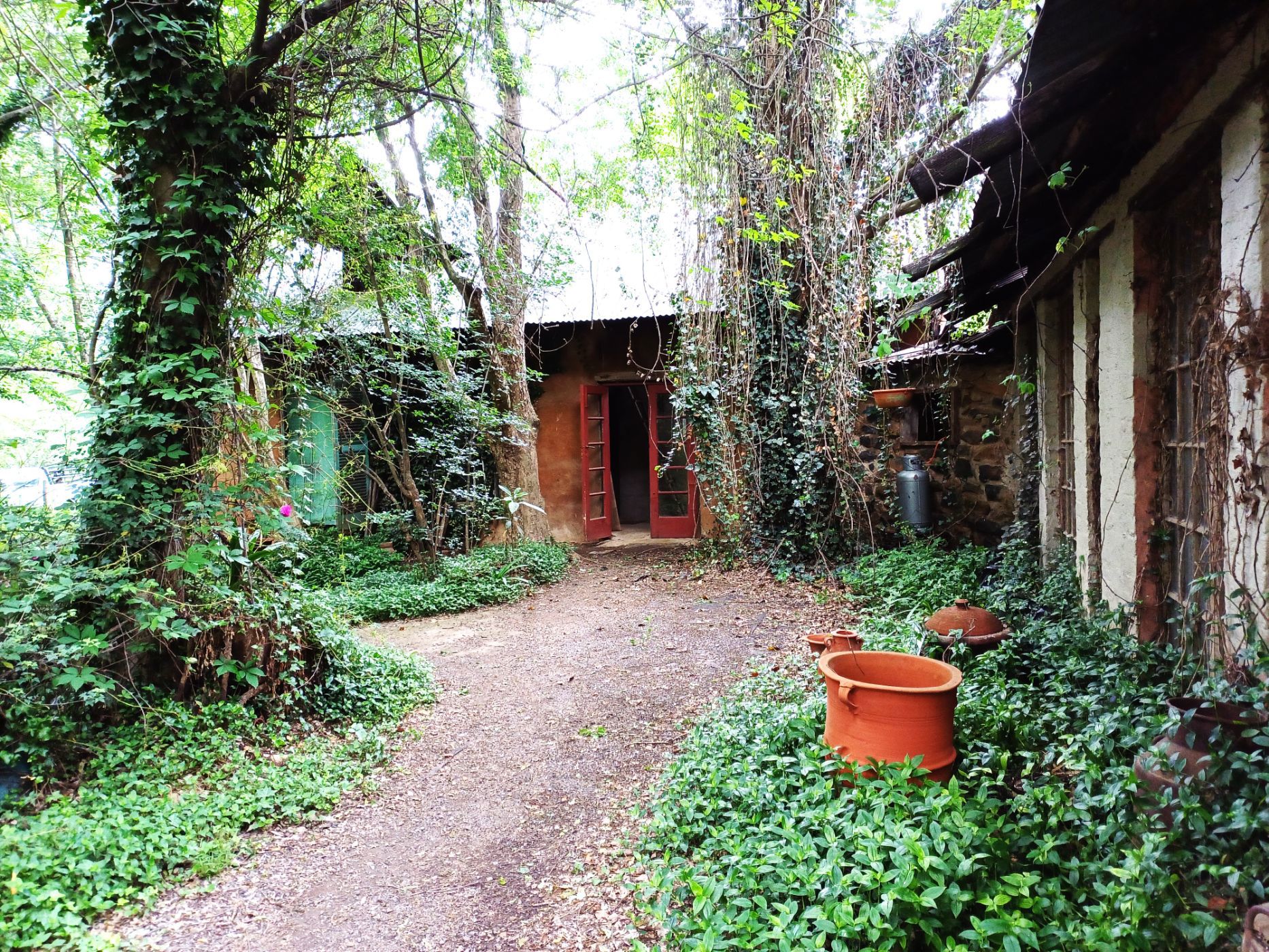 24 hectare smallholding for sale in Dargle