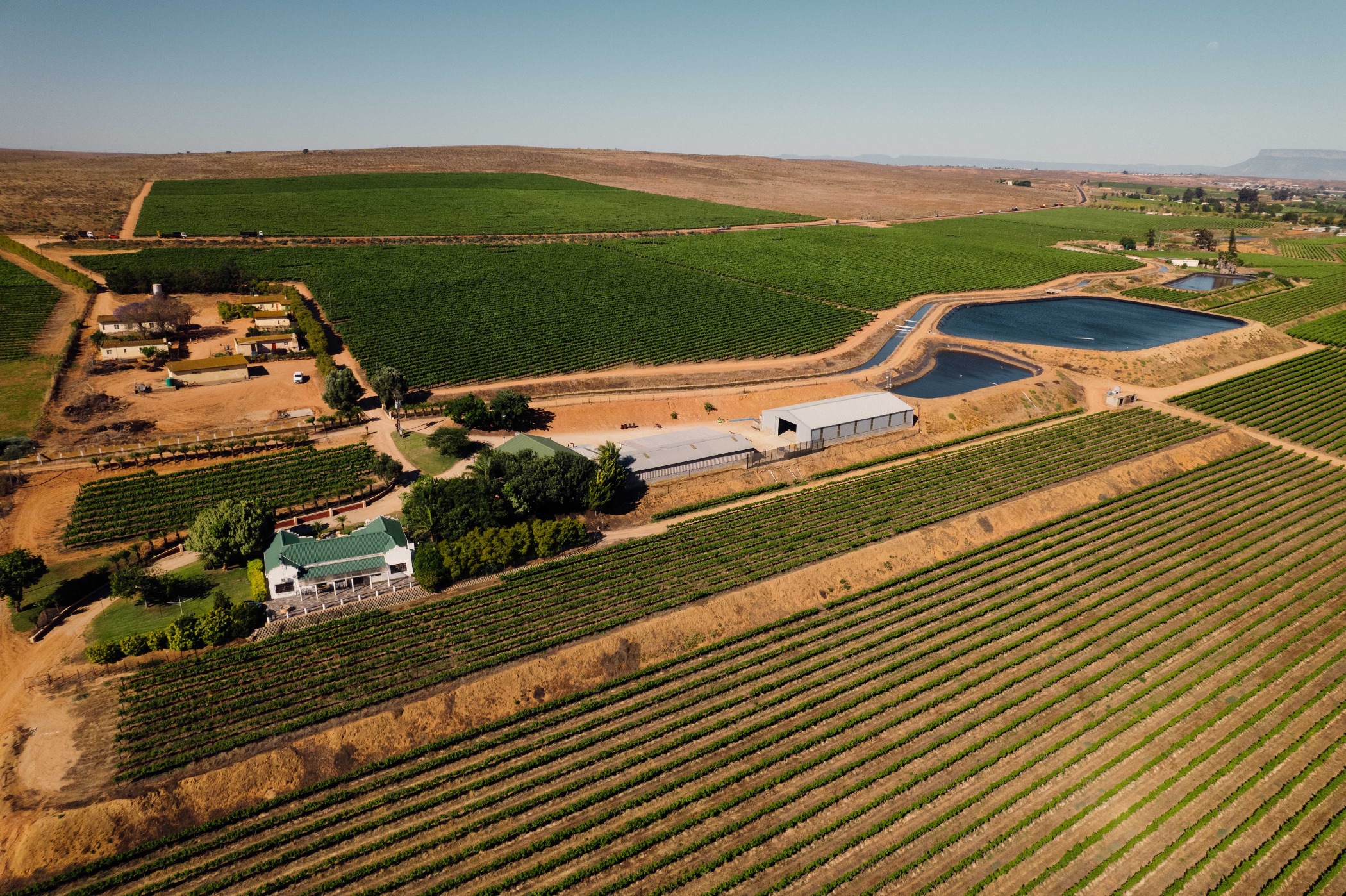 137 hectare Wine Farm For Sale Vredendal ST1633049 Pam Golding