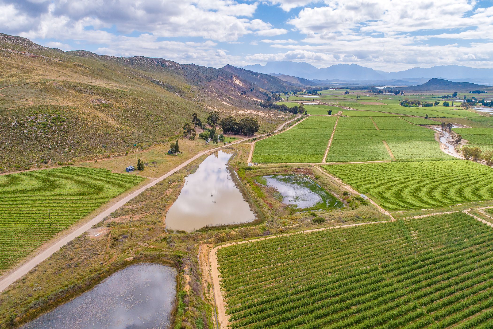 228.56 hectare Fruit Farm For Sale Worcester Rural TK1634882 Pam