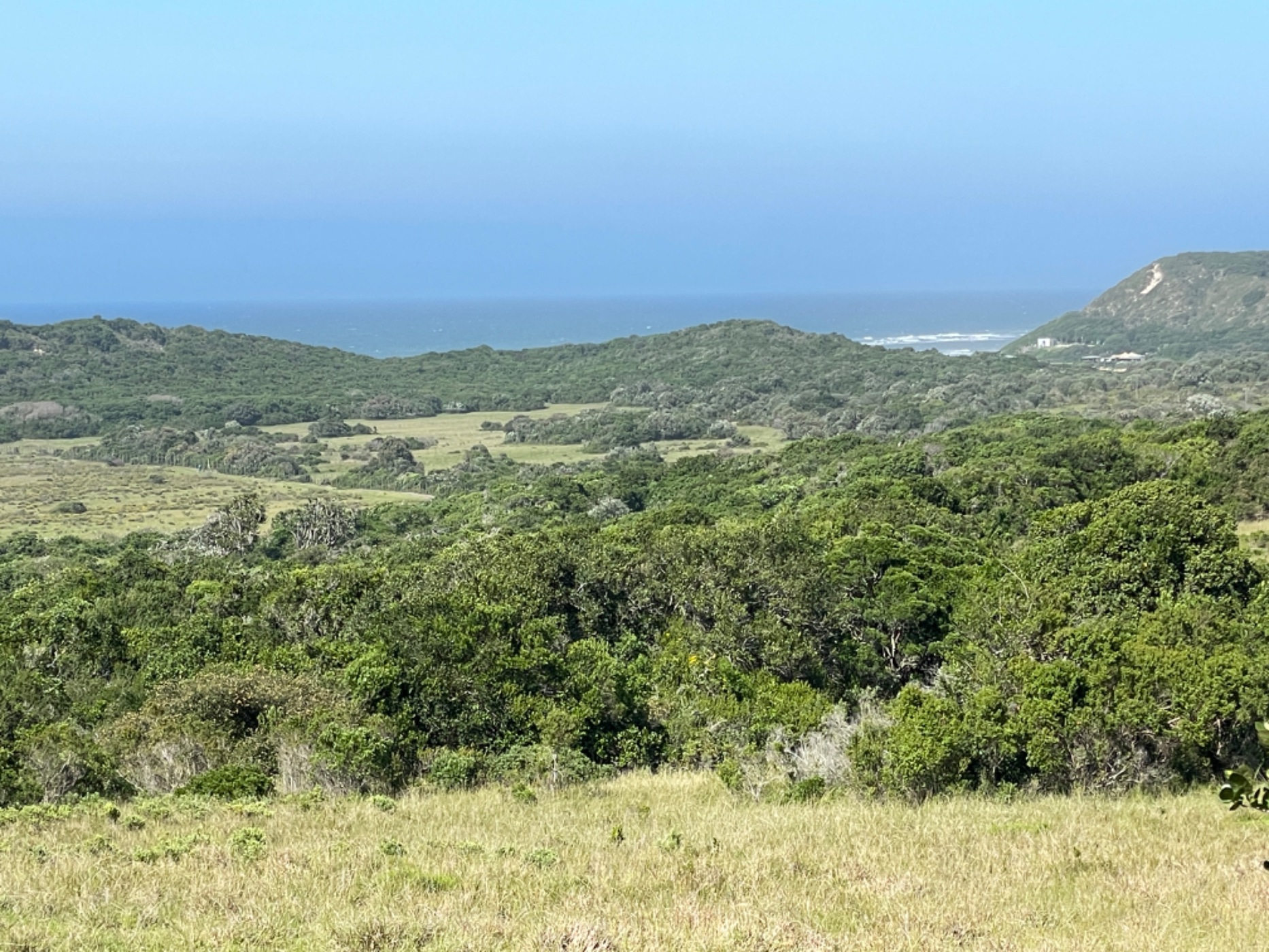 785 m2 Vacant Land For Sale Kenton Eco Estate 1KO1591214 Pam