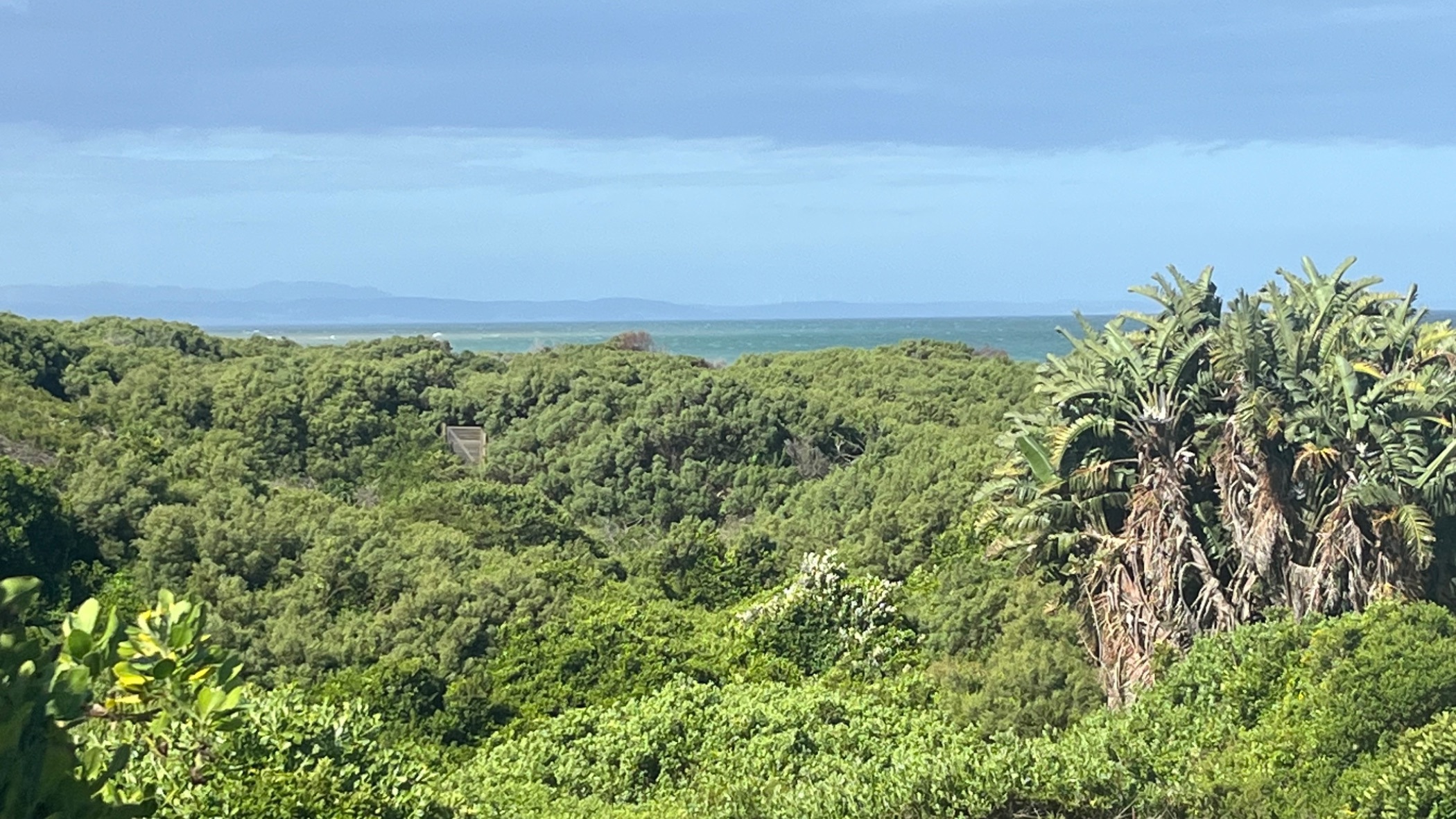 1054 m2 Vacant Land For Sale Paradise Beach (Jeffreys Bay