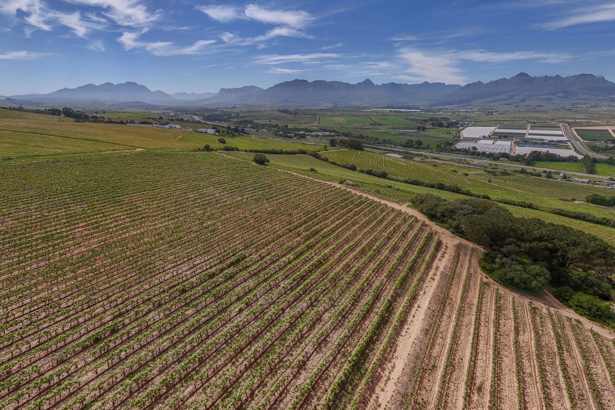 160 hectare Wine Farm For Sale Stellenbosch Farms ST1628031 Pam Golding Properties