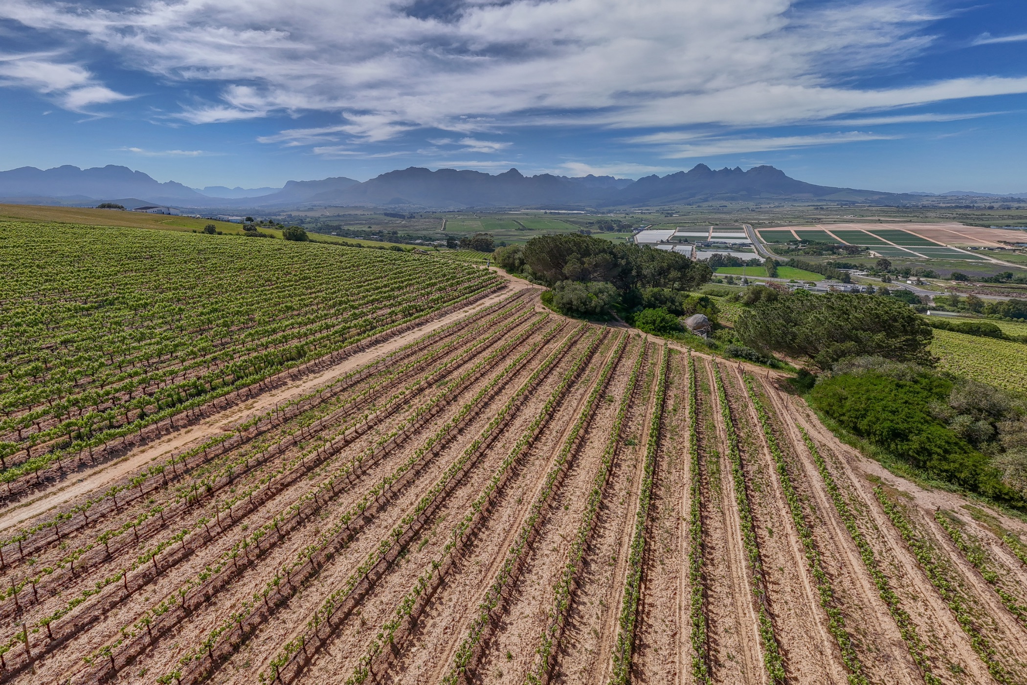 160 hectare Wine Farm For Sale Stellenbosch Farms ST1628031 Pam Golding Properties