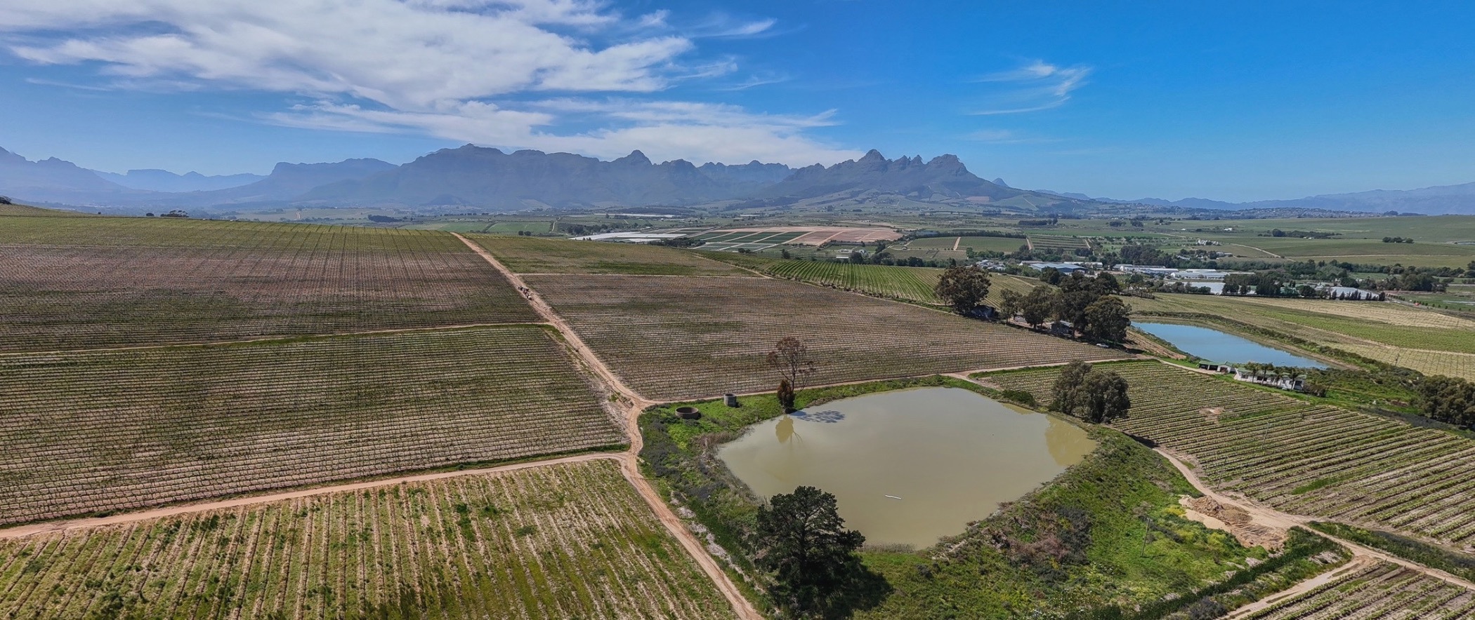 160 hectare Wine Farm For Sale Stellenbosch Farms ST1628031 Pam Golding Properties
