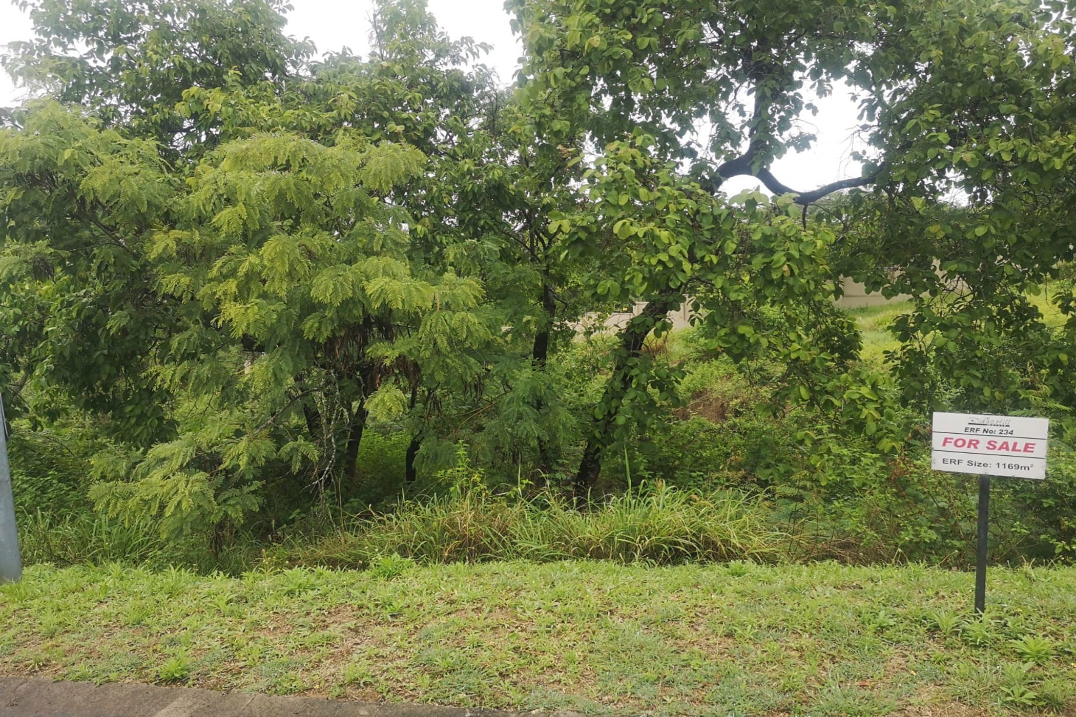 1169 m&sup2; vacant land for sale in Drum Rock