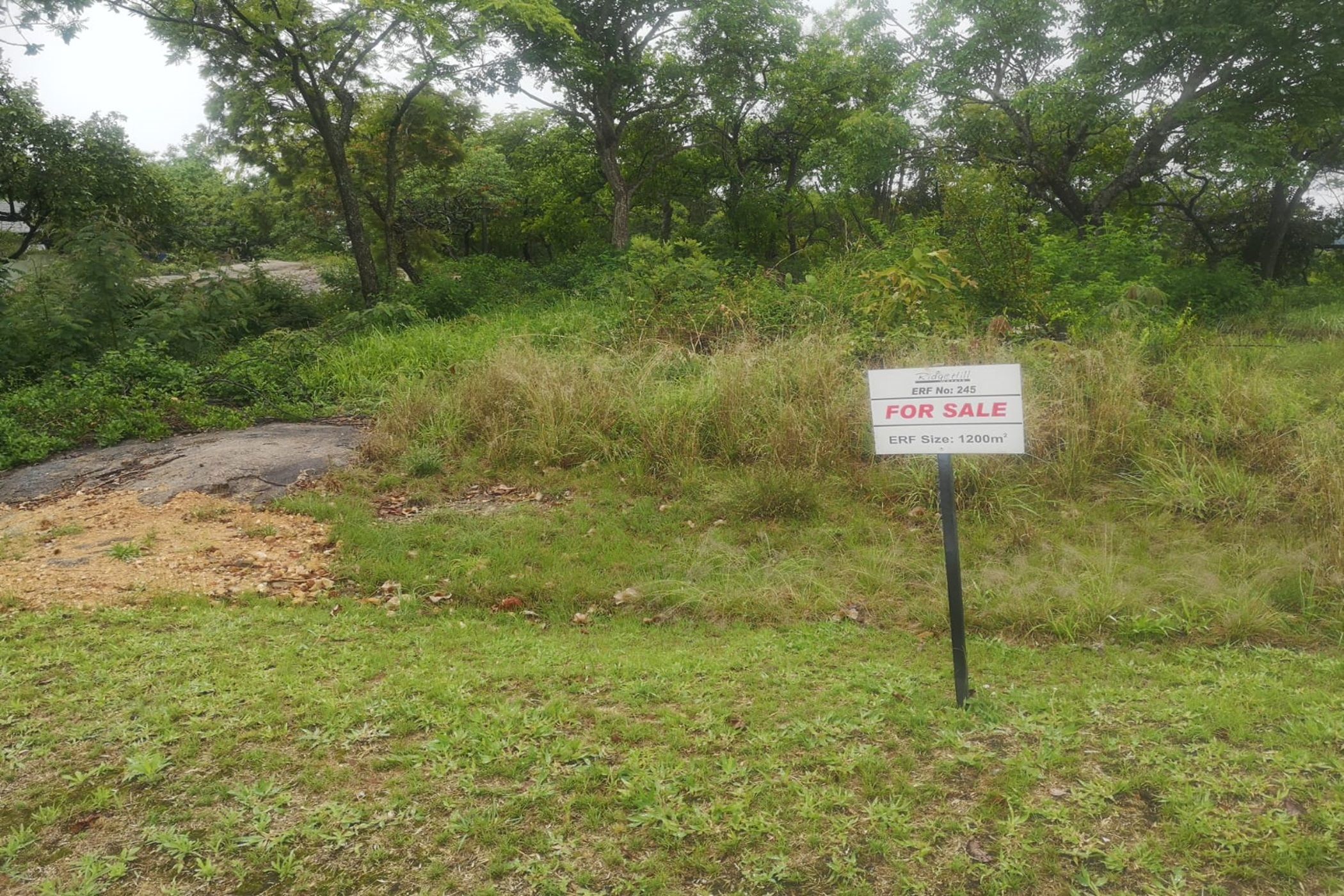 1200 m&sup2; vacant land for sale in Drum Rock