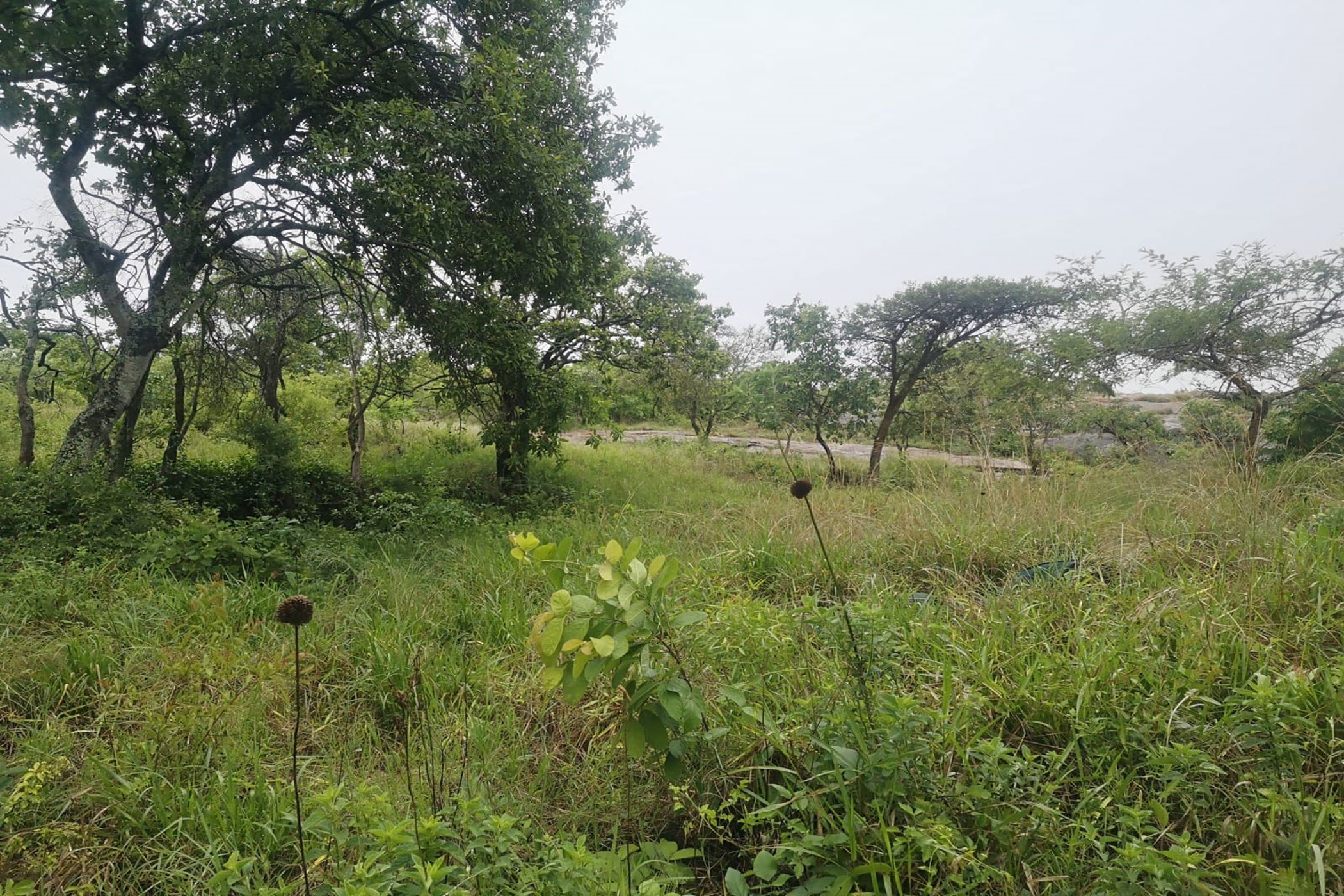 1325 m&sup2; vacant land for sale in Drum Rock