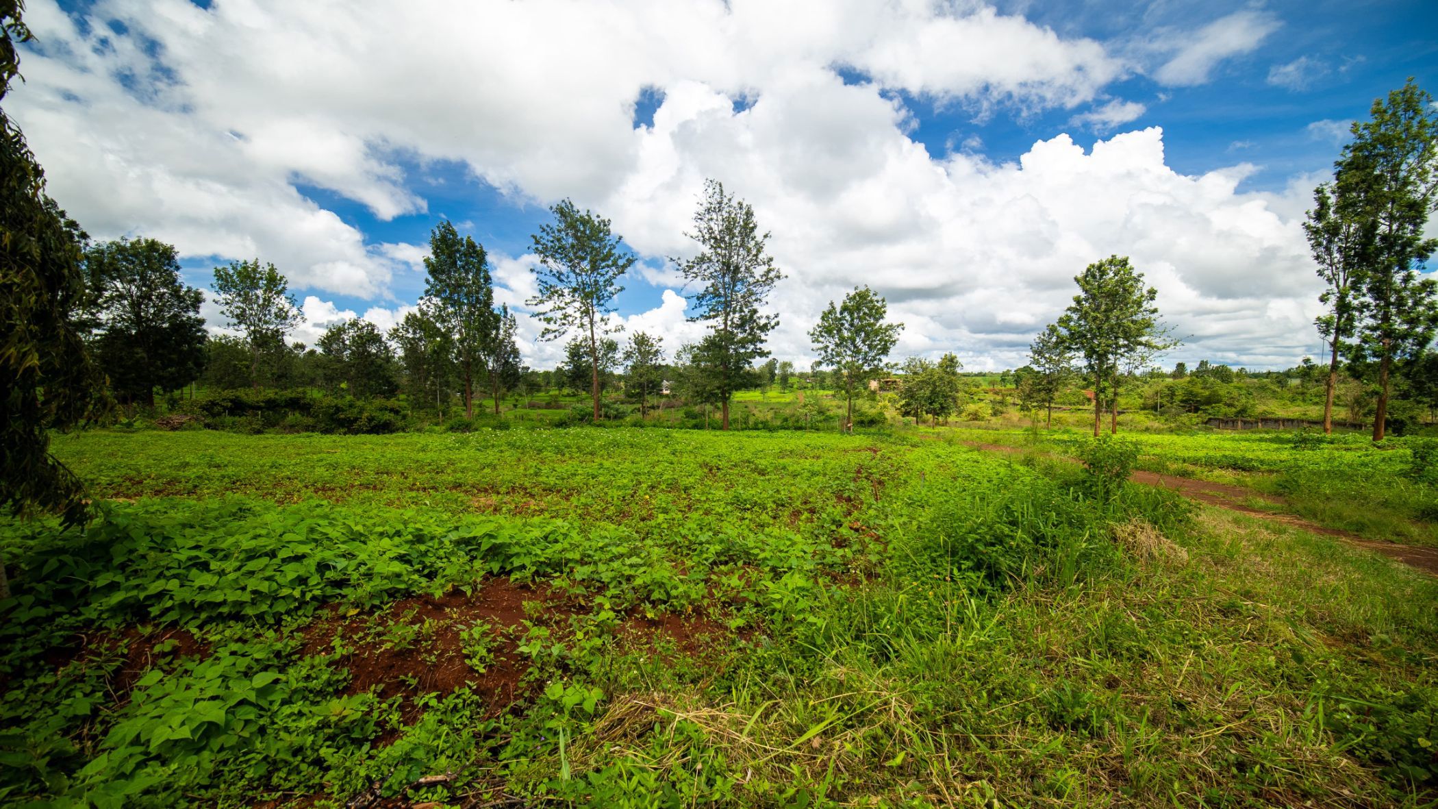 0.25 acres vacant land for sale in Thika (Kenya)