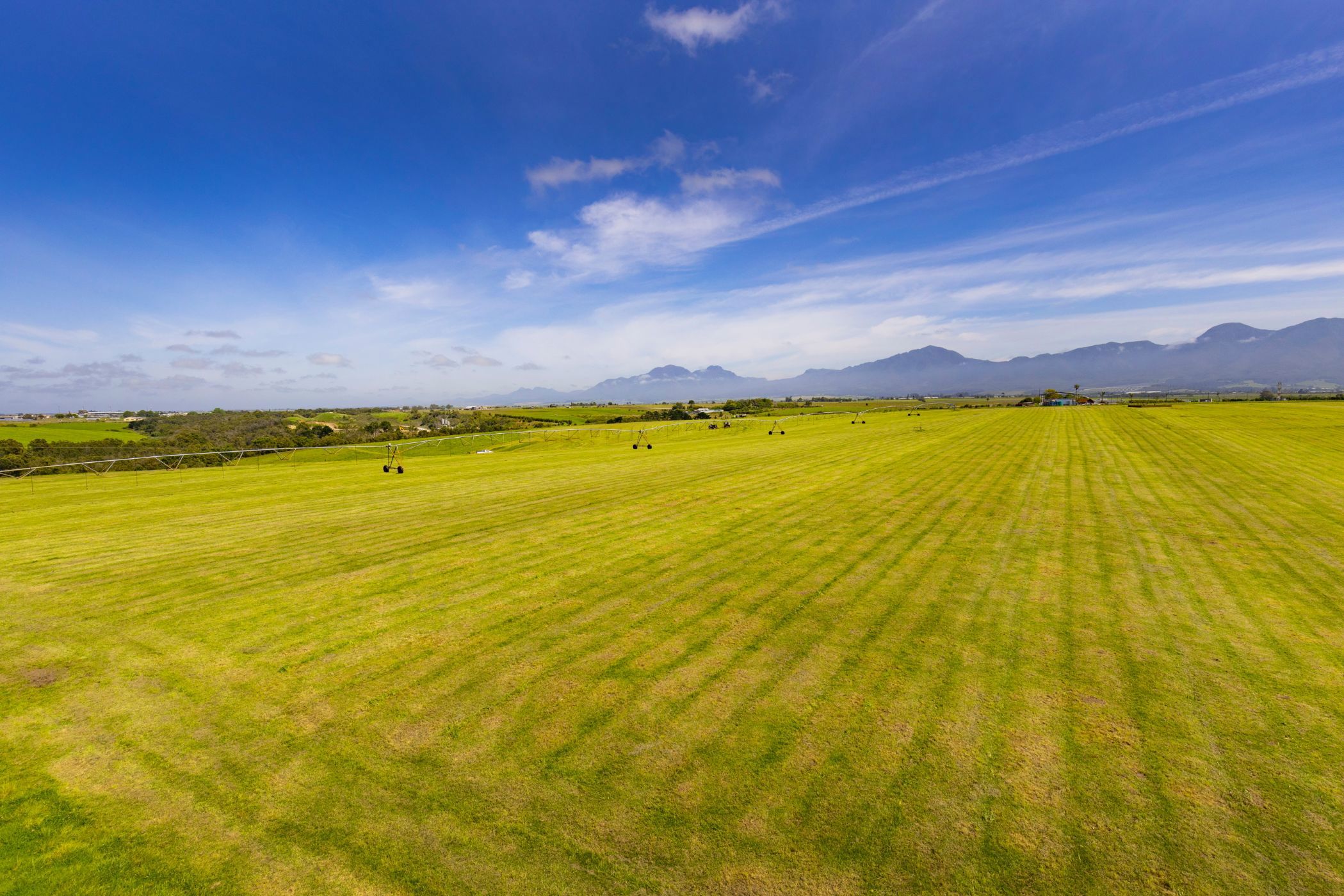 60.58 hectare irrigation farm for sale in George Rural