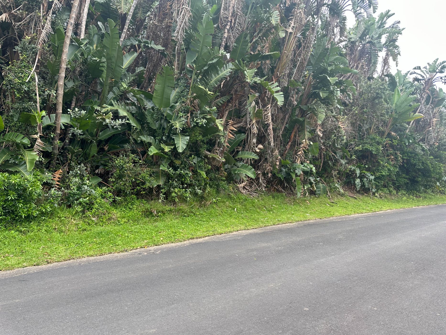 7404 m&sup2; residential vacant land for sale in Trafalgar