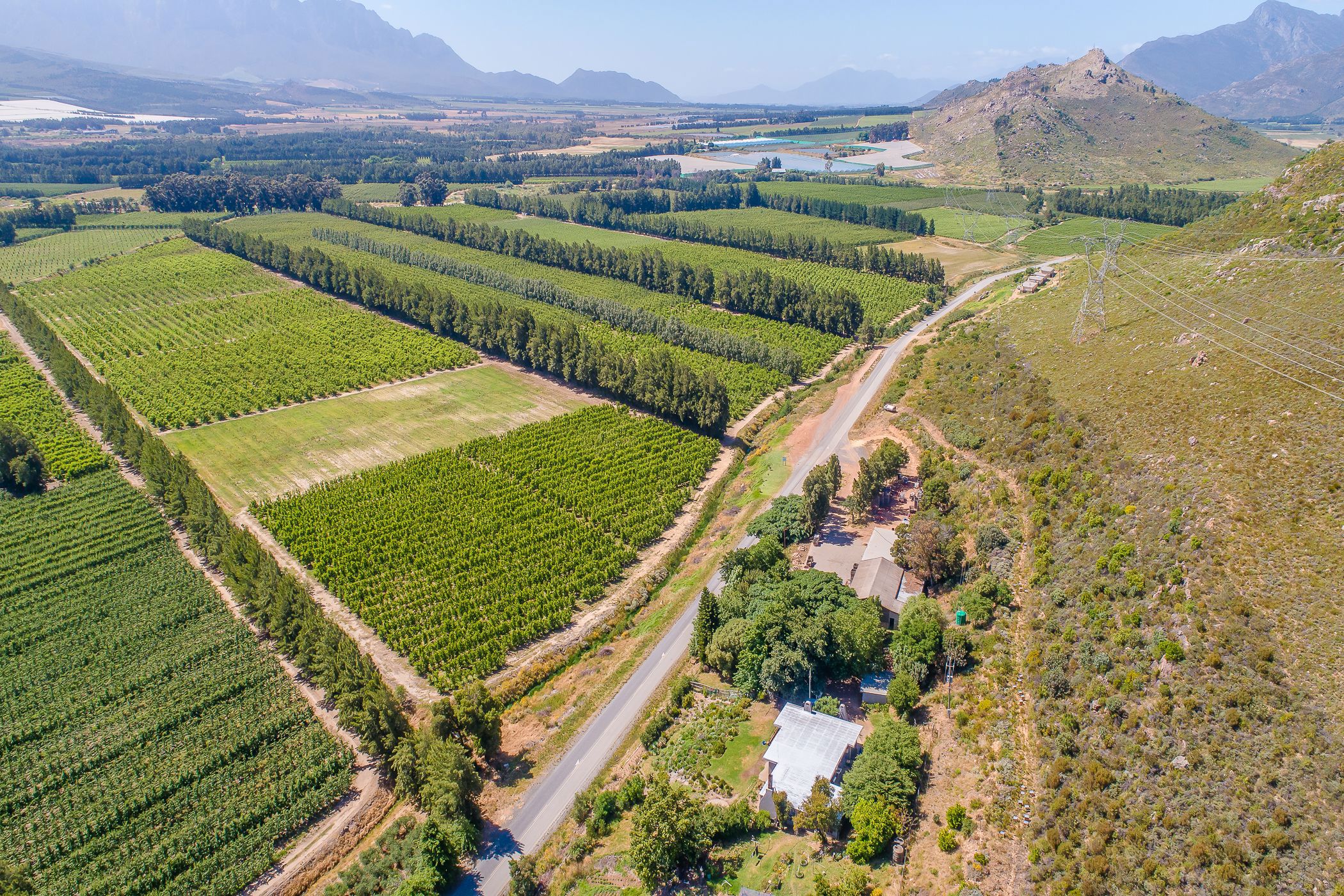 153.96 hectare Fruit Farm For Sale Wolseley TK1637621 Pam Golding