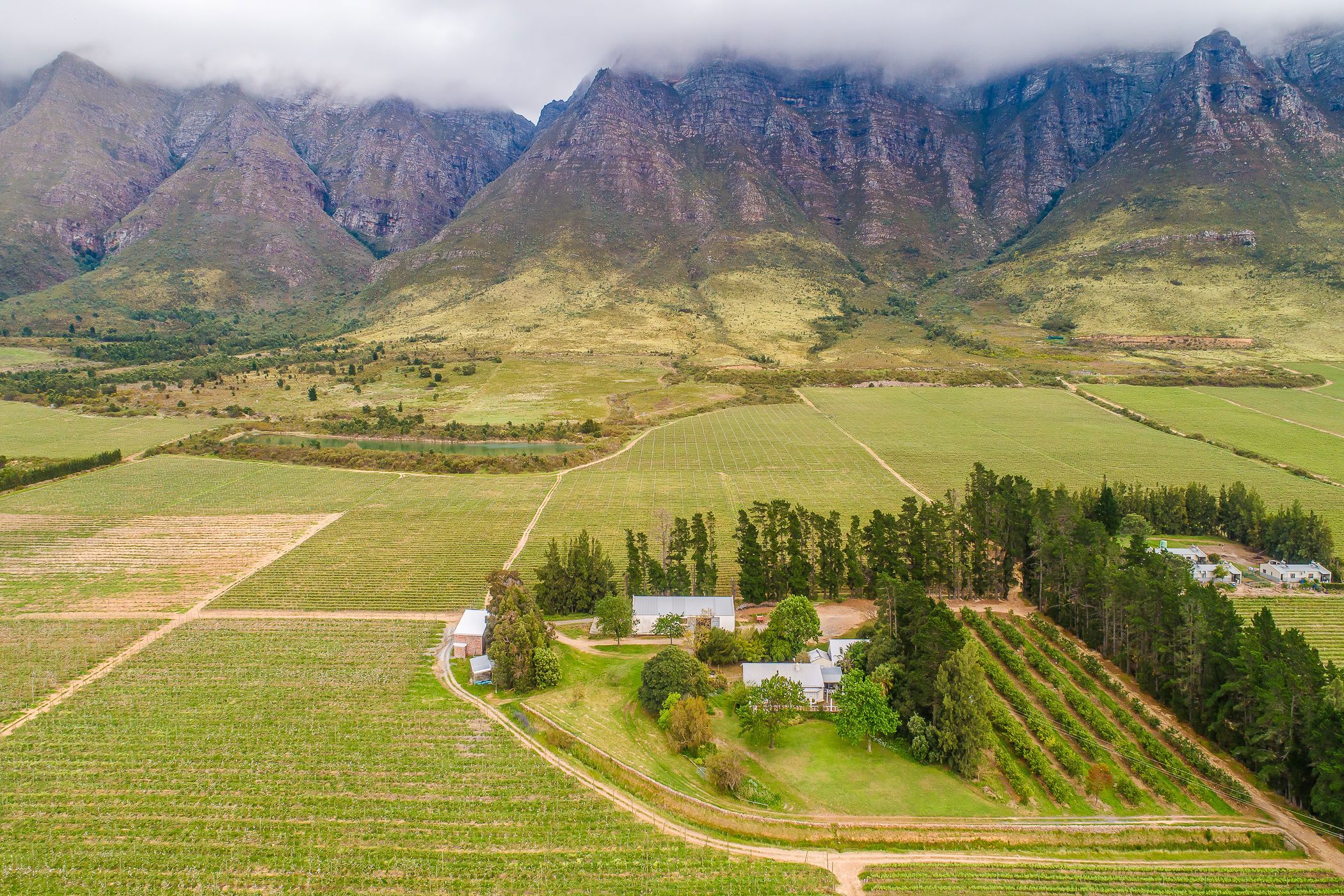 207.45 hectare Fruit Farm For Sale Worcester Rural TK1638196 Pam