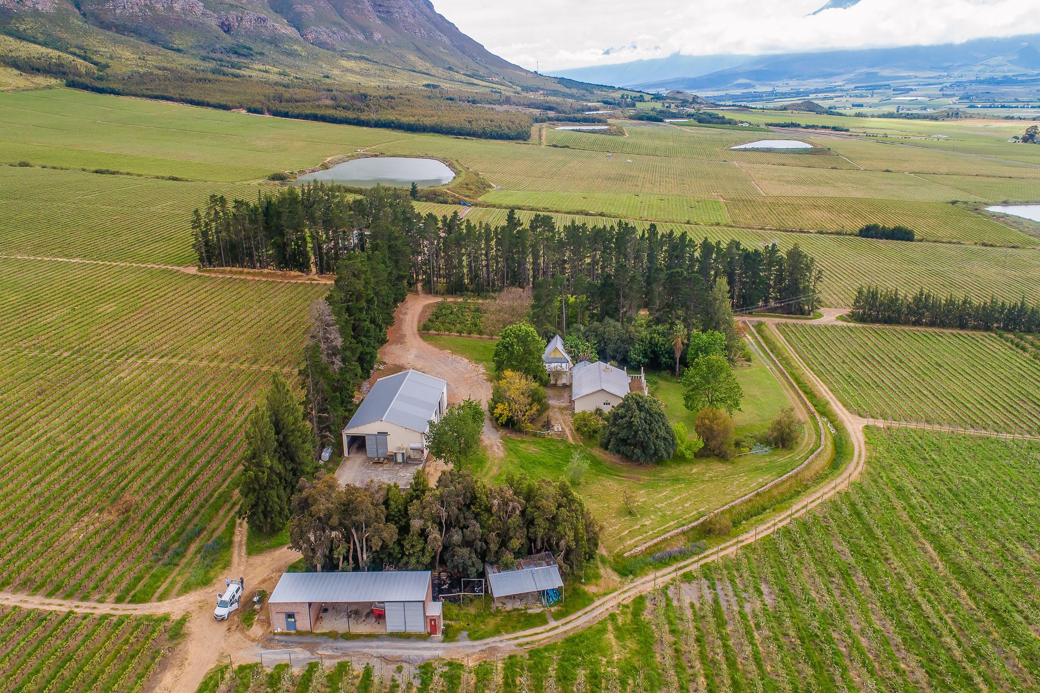 207.45 hectare fruit farm for sale in Worcester Rural