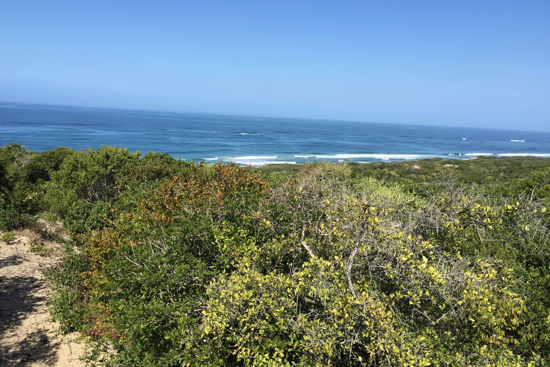 18 hectare vacant land for investment in Chidenguele (Gaza, Mozambique)