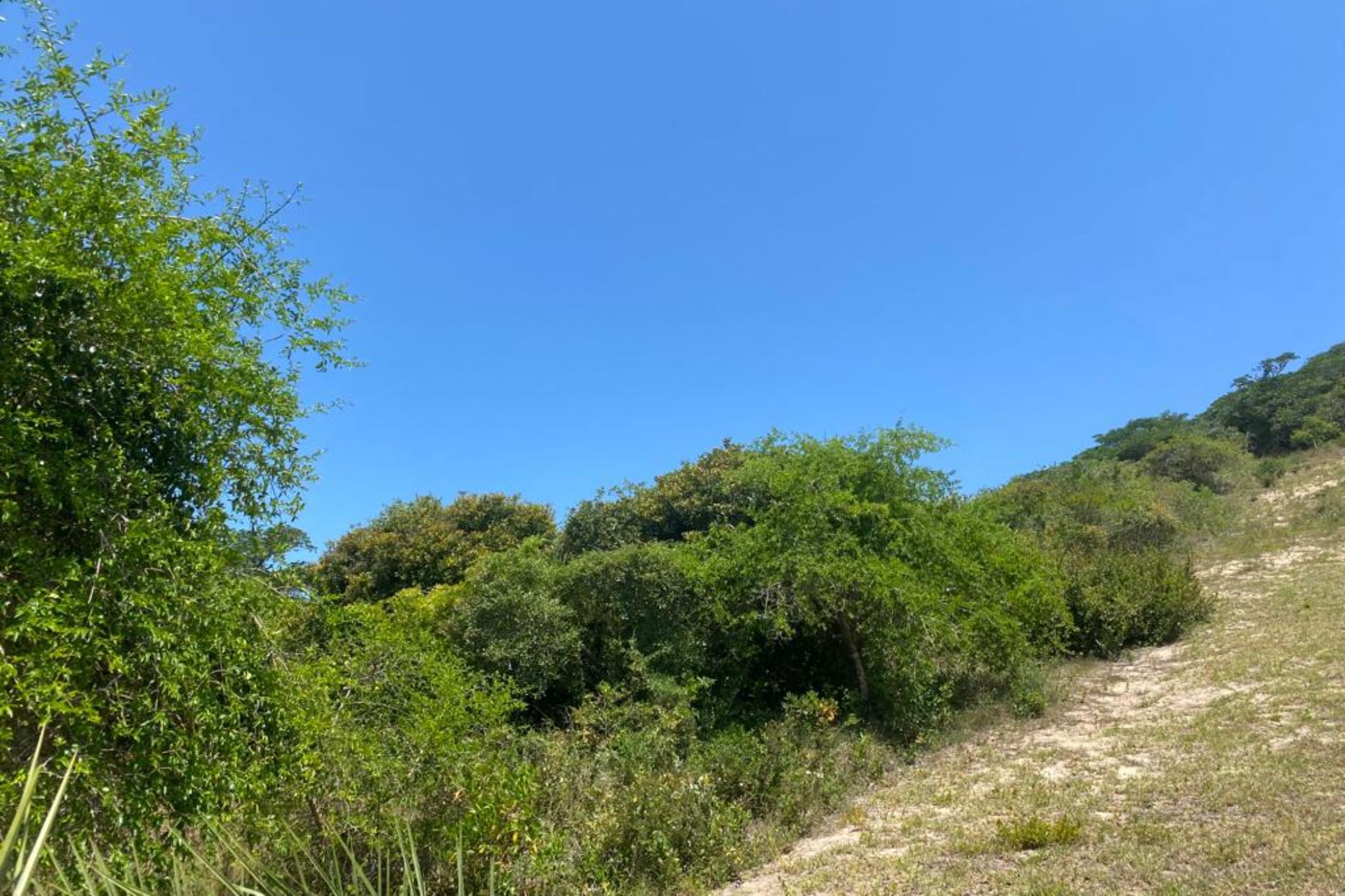 1200 m&sup2; vacant land for investment in Bilene (Mozambique)