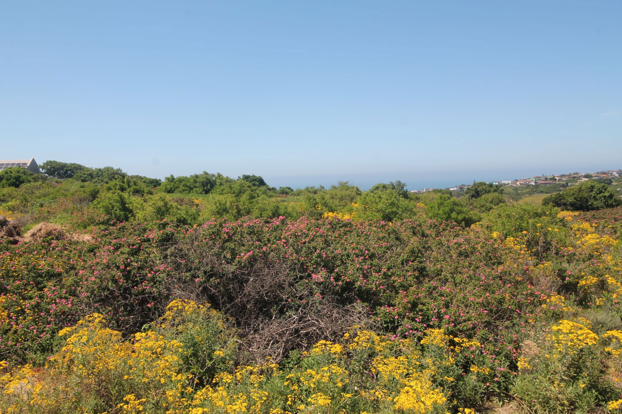 1344 m2 Vacant Land For Sale Port Alfred 1PF1639742 Pam Golding Properties