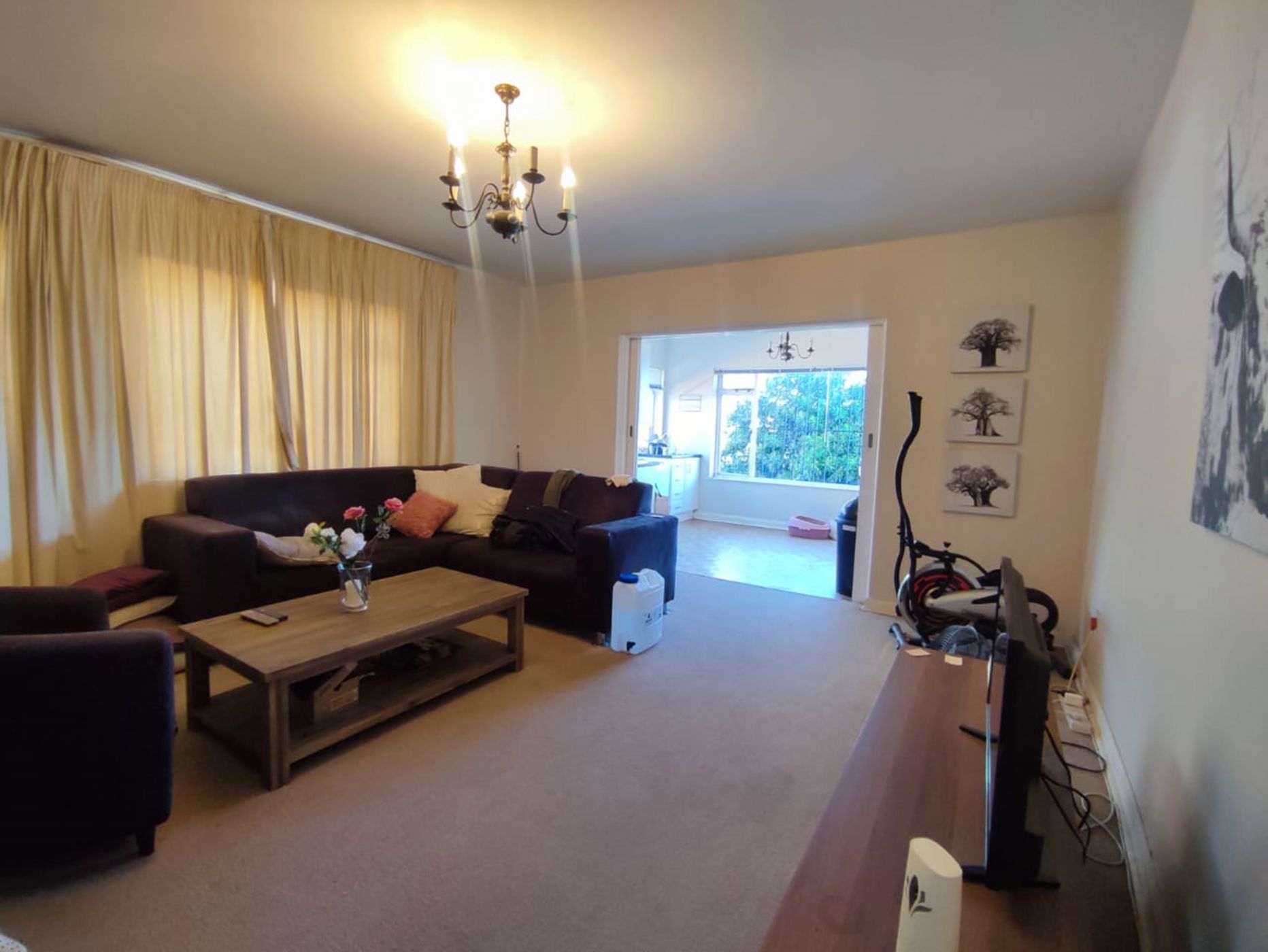 1 Bedroom Apartment To Rent Musgrave 1DA1639577 Pam Golding