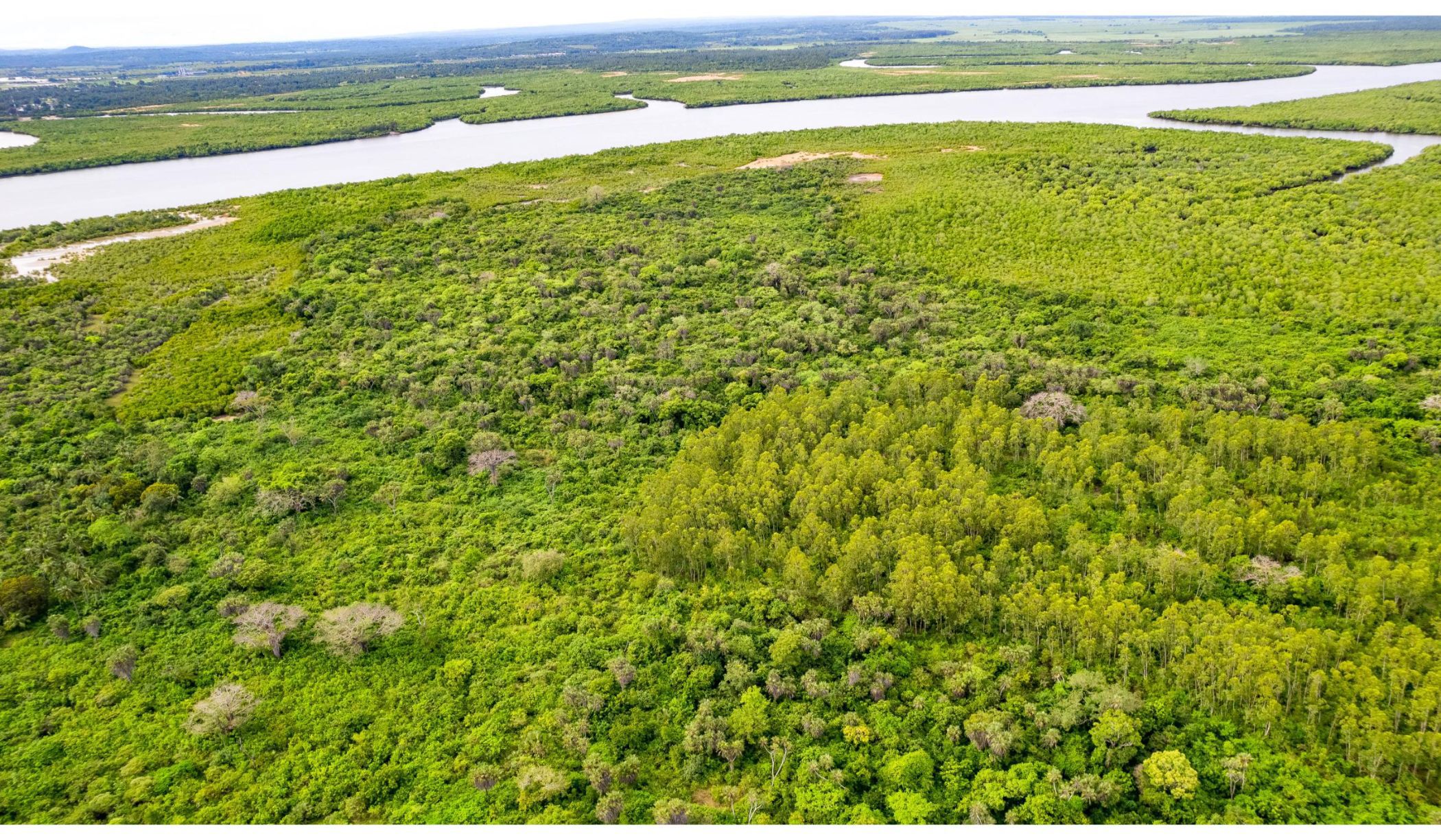 8.9 Acres Residential Vacant Land For Sale Funzi (Kenya) 3KE1637168