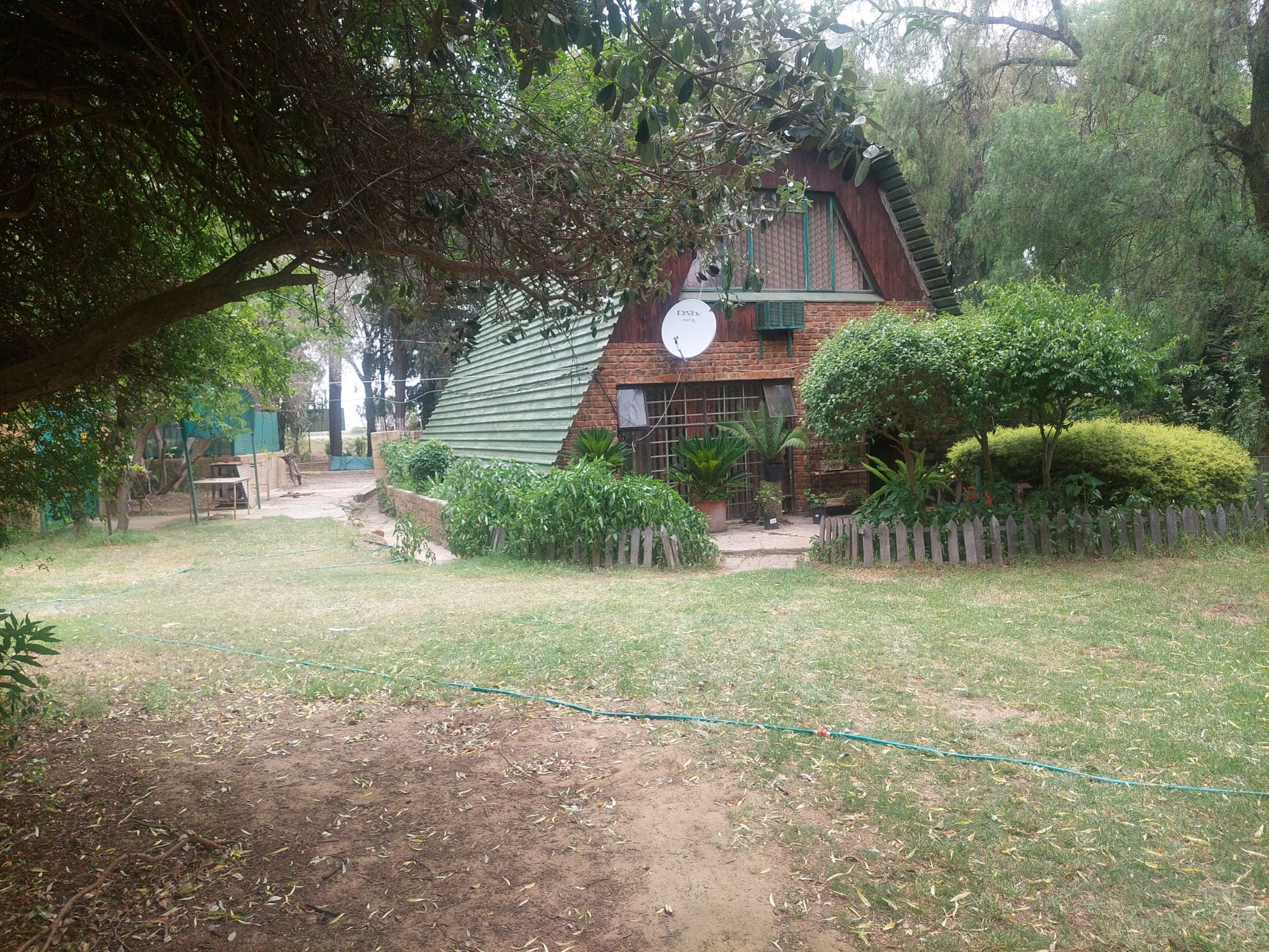 3 hectare Flower Farm For Sale Odendaalsrus 1WM1639122 Pam