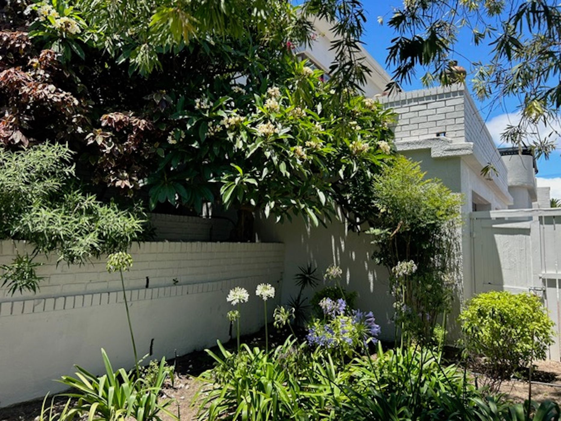 4 Bedroom House For Sale Strand North SW1640655 Pam Golding Properties