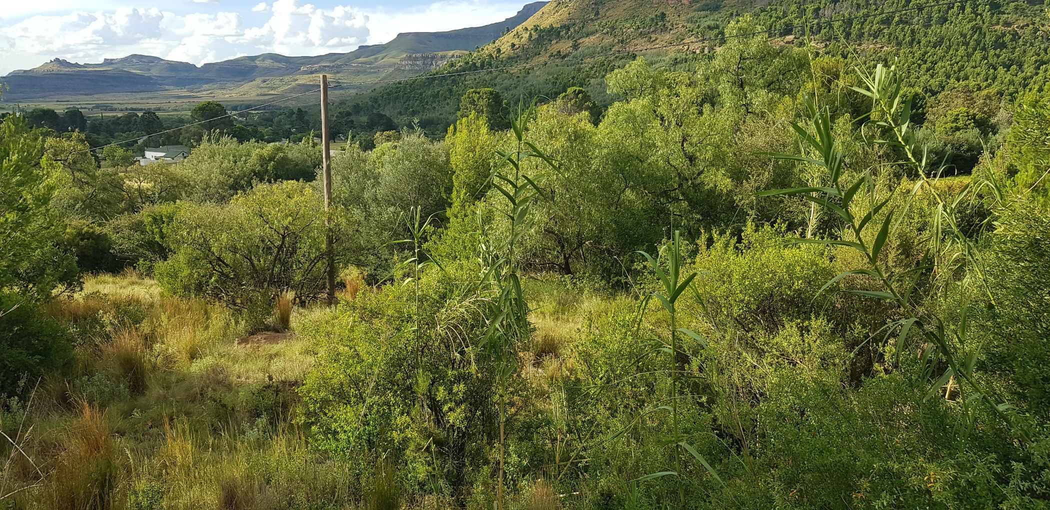 778 m2 Residential Vacant Land For Sale Lady Grey 1KK1640063 Pam