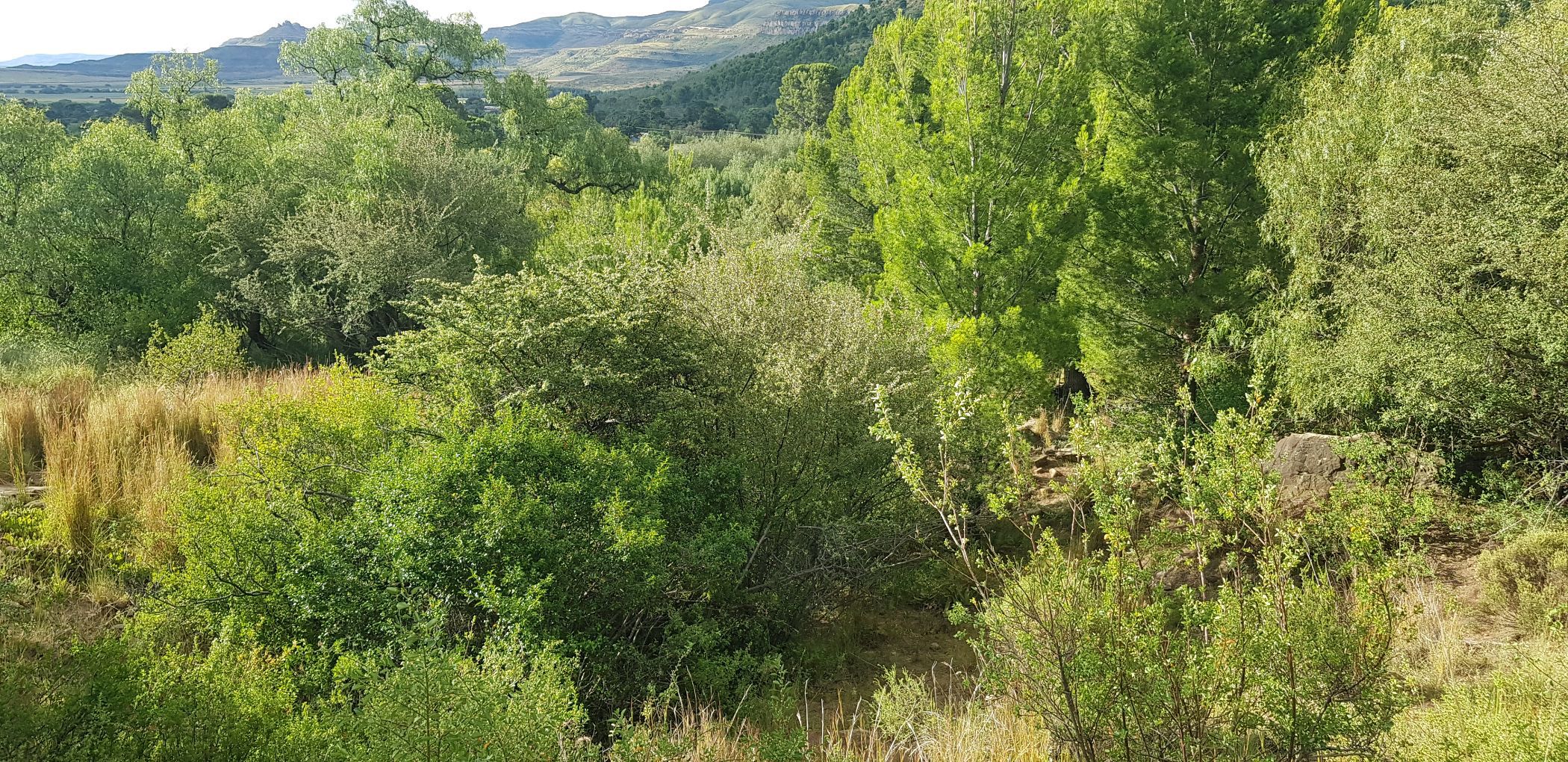 778 m2 Residential Vacant Land For Sale Lady Grey 1KK1640063 Pam