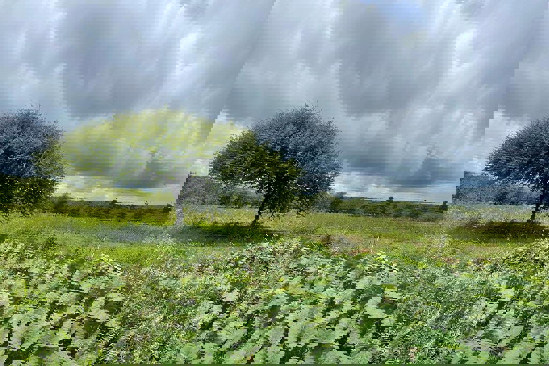 5787 m2 Vacant Land For Sale Bulawayo (Zimbabwe) 3ZB1643007 Pam