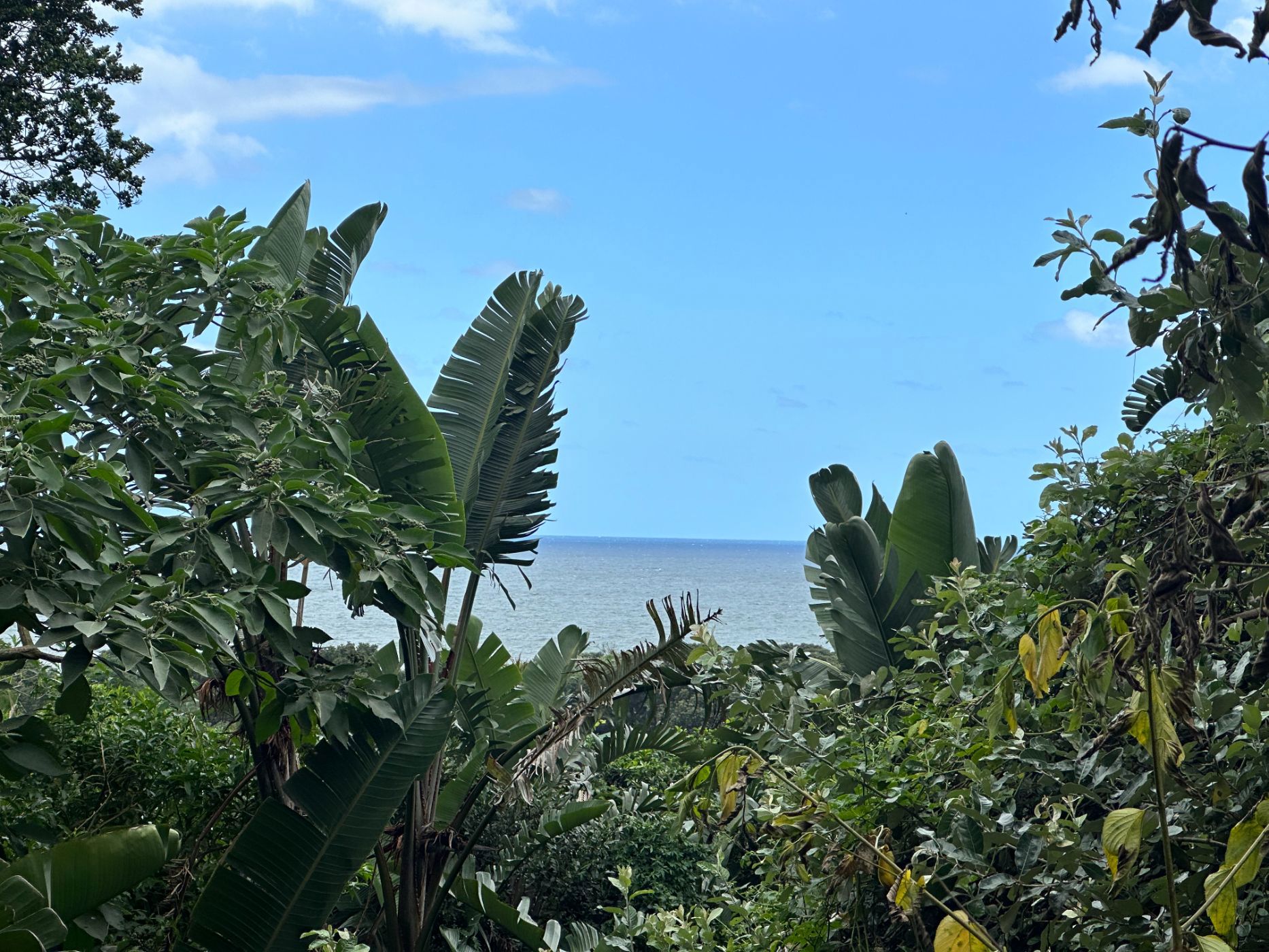 1071 m&sup2; residential vacant land for sale in Leisure Bay