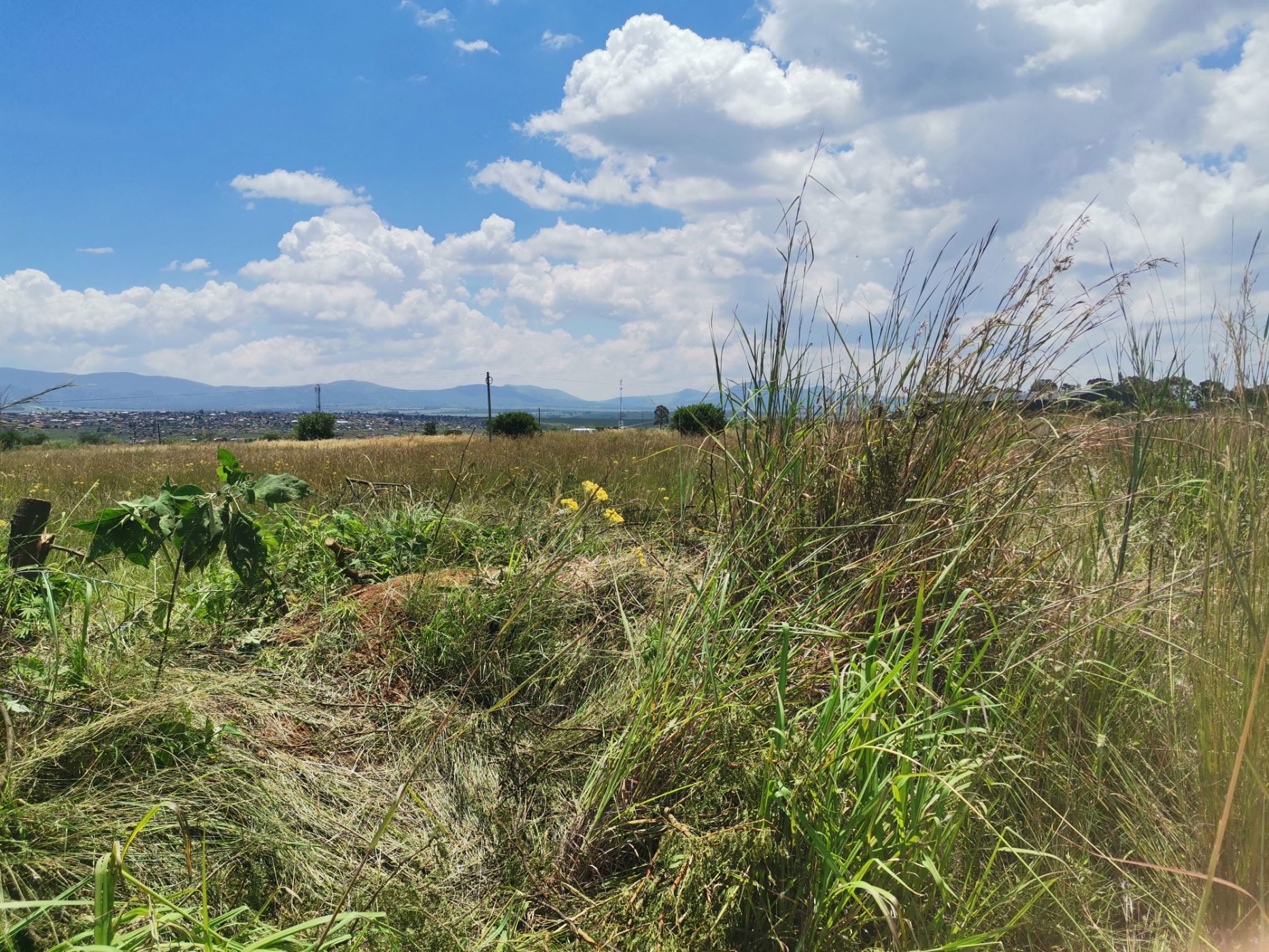 2006 m&sup2; commercial vacant land for sale in Lydenburg (Mashishing)
