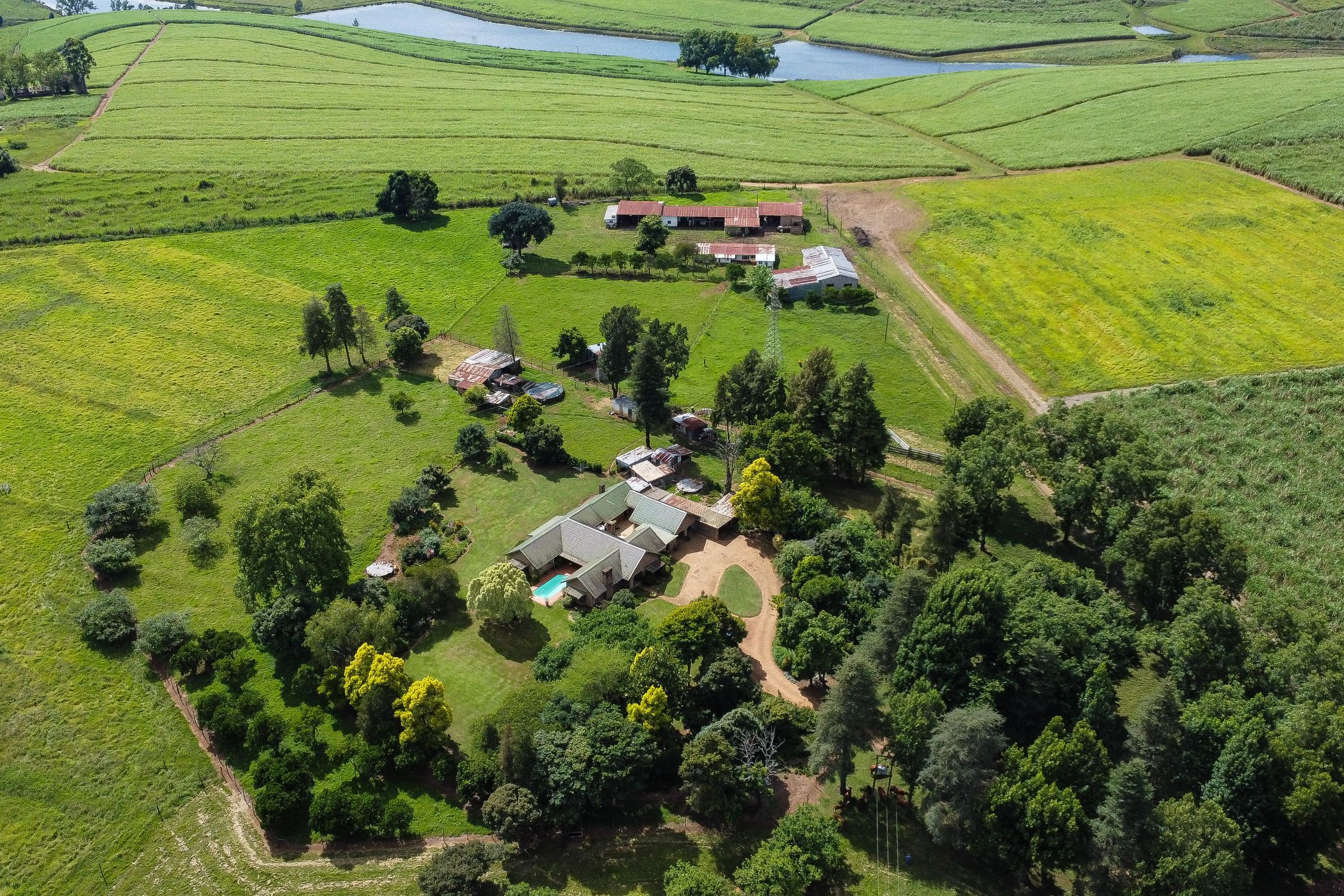 10.12 hectare smallholding for sale in Richmond (Midlands (Rural))