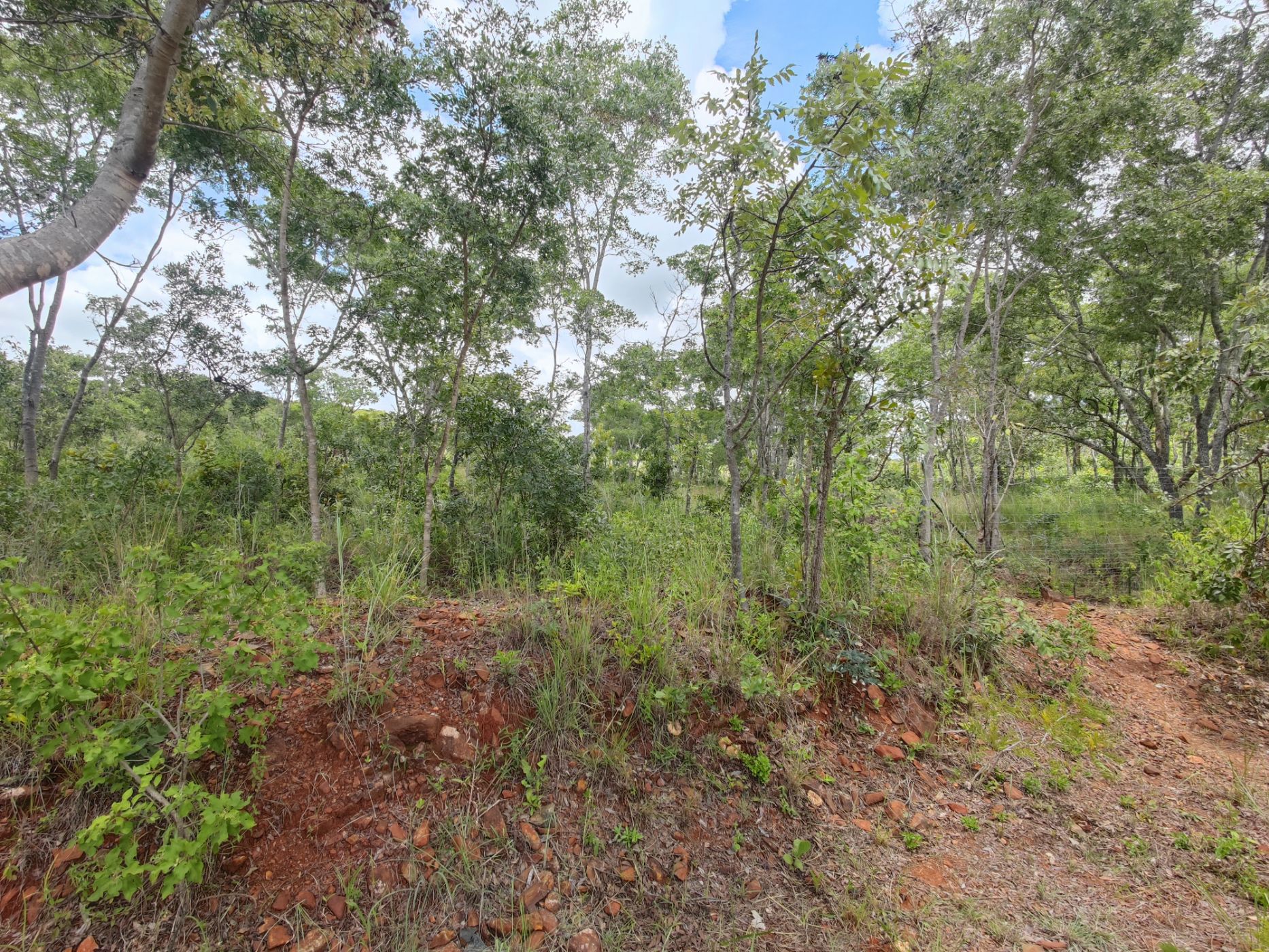 10000 m&sup2; farm vacant land for sale in Arcturus (Zimbabwe)