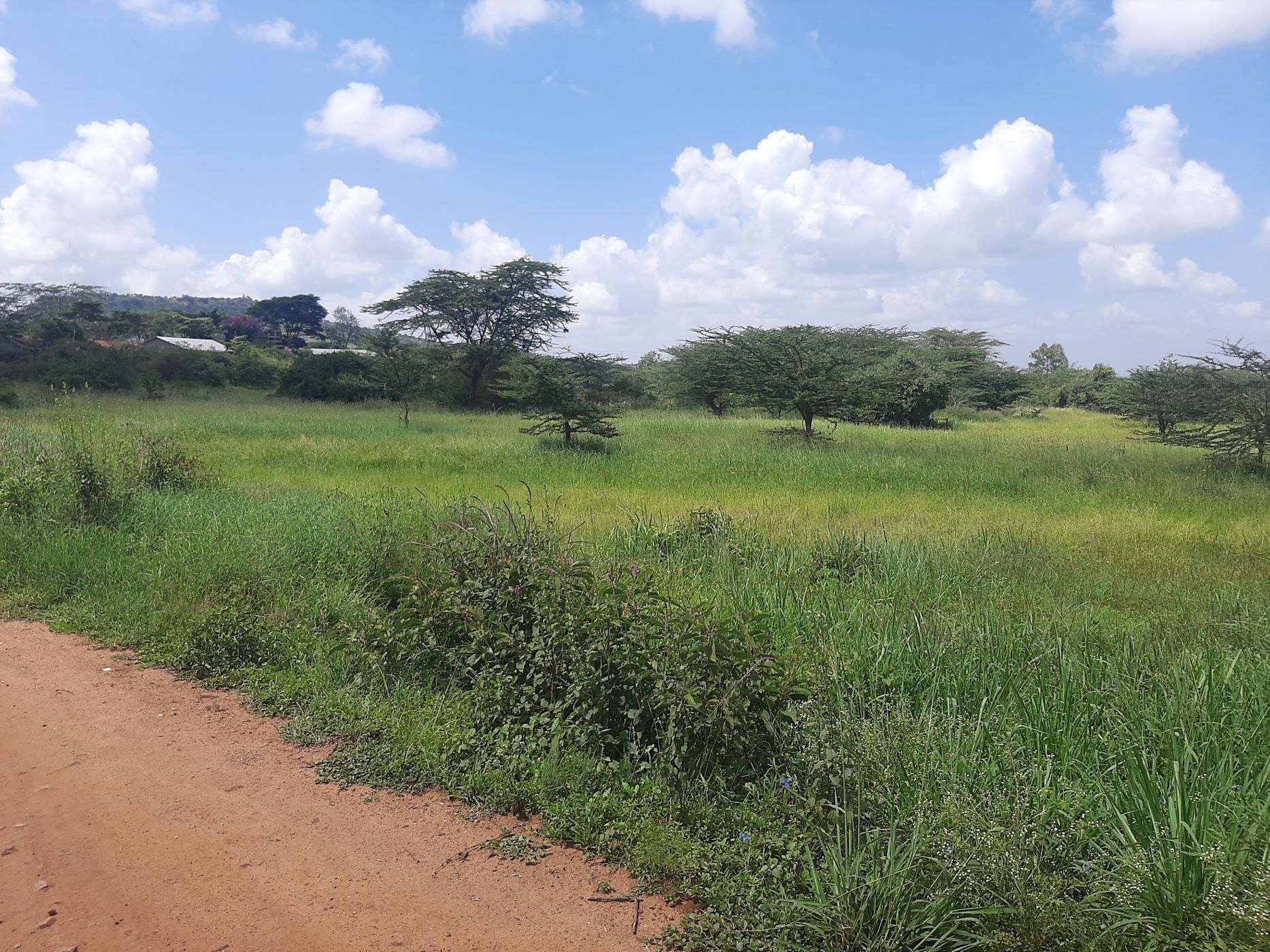 5 Acres Vacant Land For Sale Athi River (Kenya) 3KE1647191 Pam