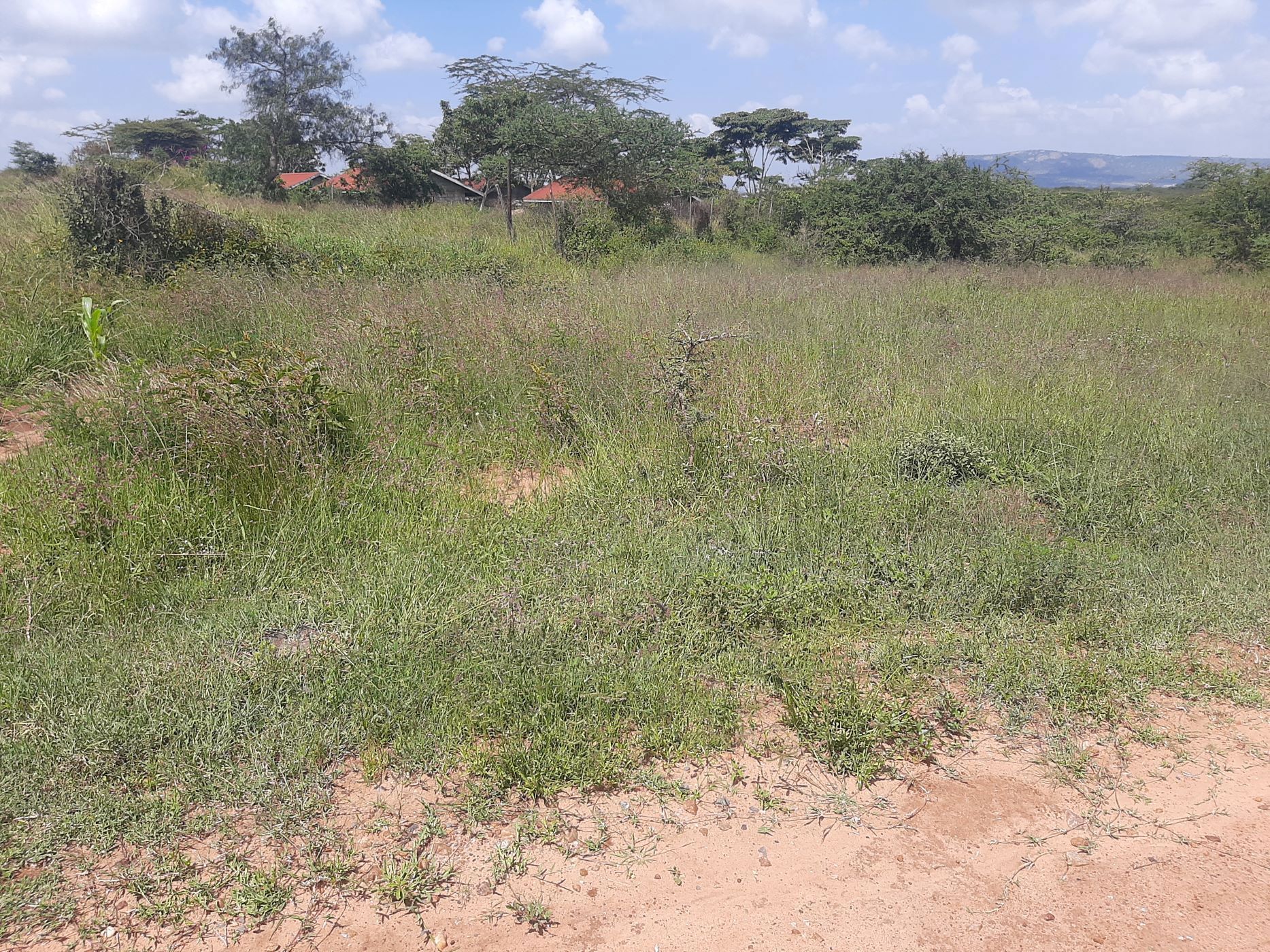 5 Acres Vacant Land For Sale Athi River (Kenya) 3KE1647191 Pam
