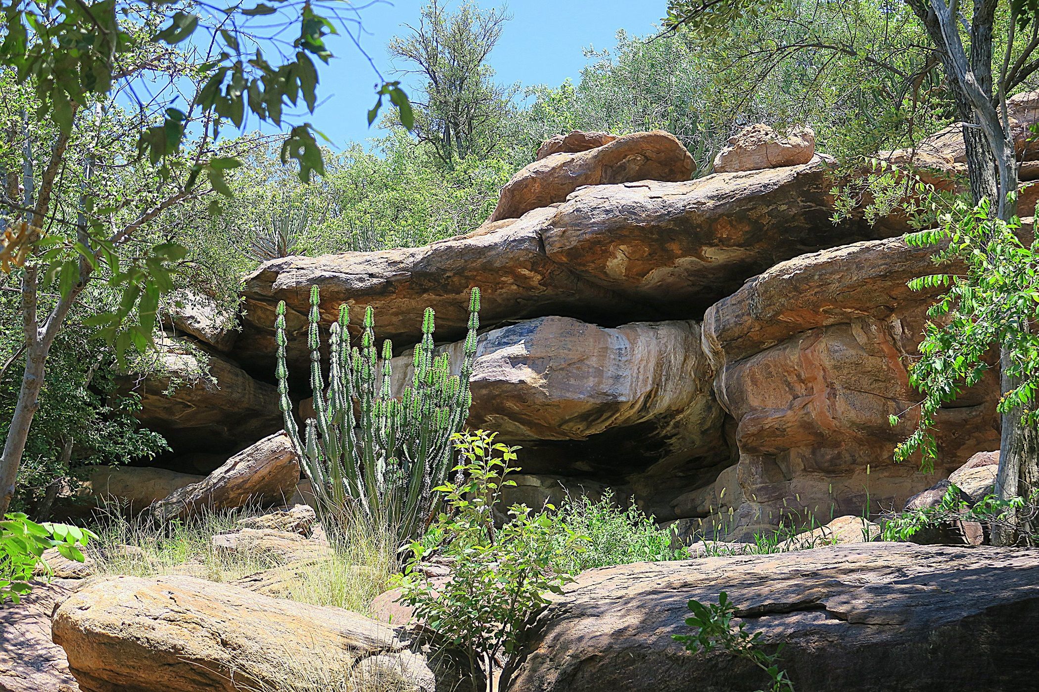 3000 hectare vacant land for sale in Steenbokpan