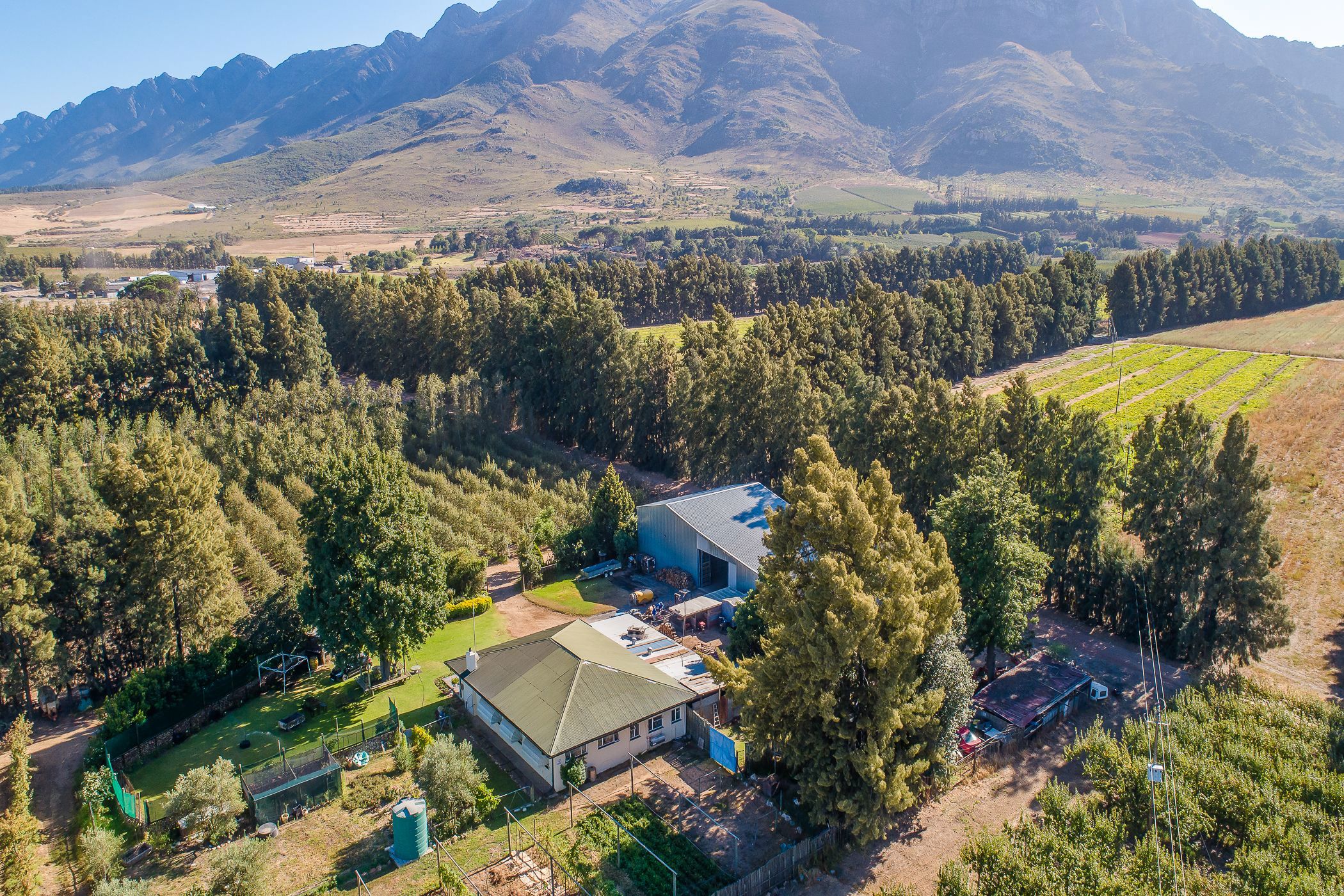34.3 hectare Fruit Farm For Sale Wolseley TK1648678 Pam Golding