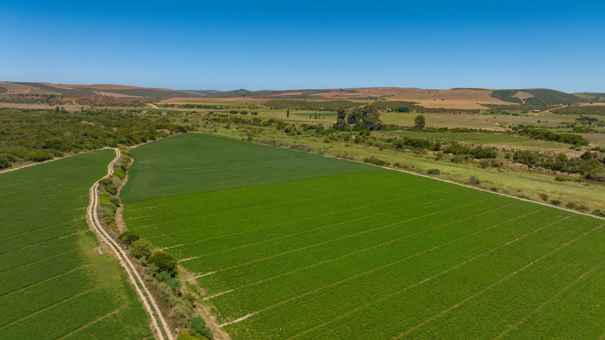 Mixed use farm for sale in Herbertsdale