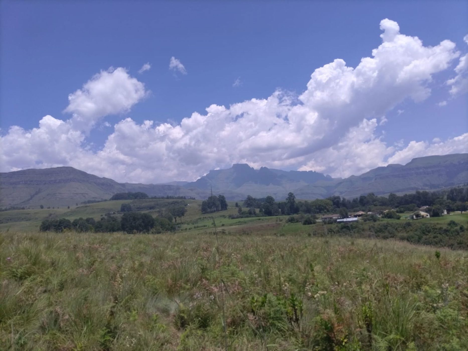 1800 m&sup2; residential vacant land for sale in Cathkin Park