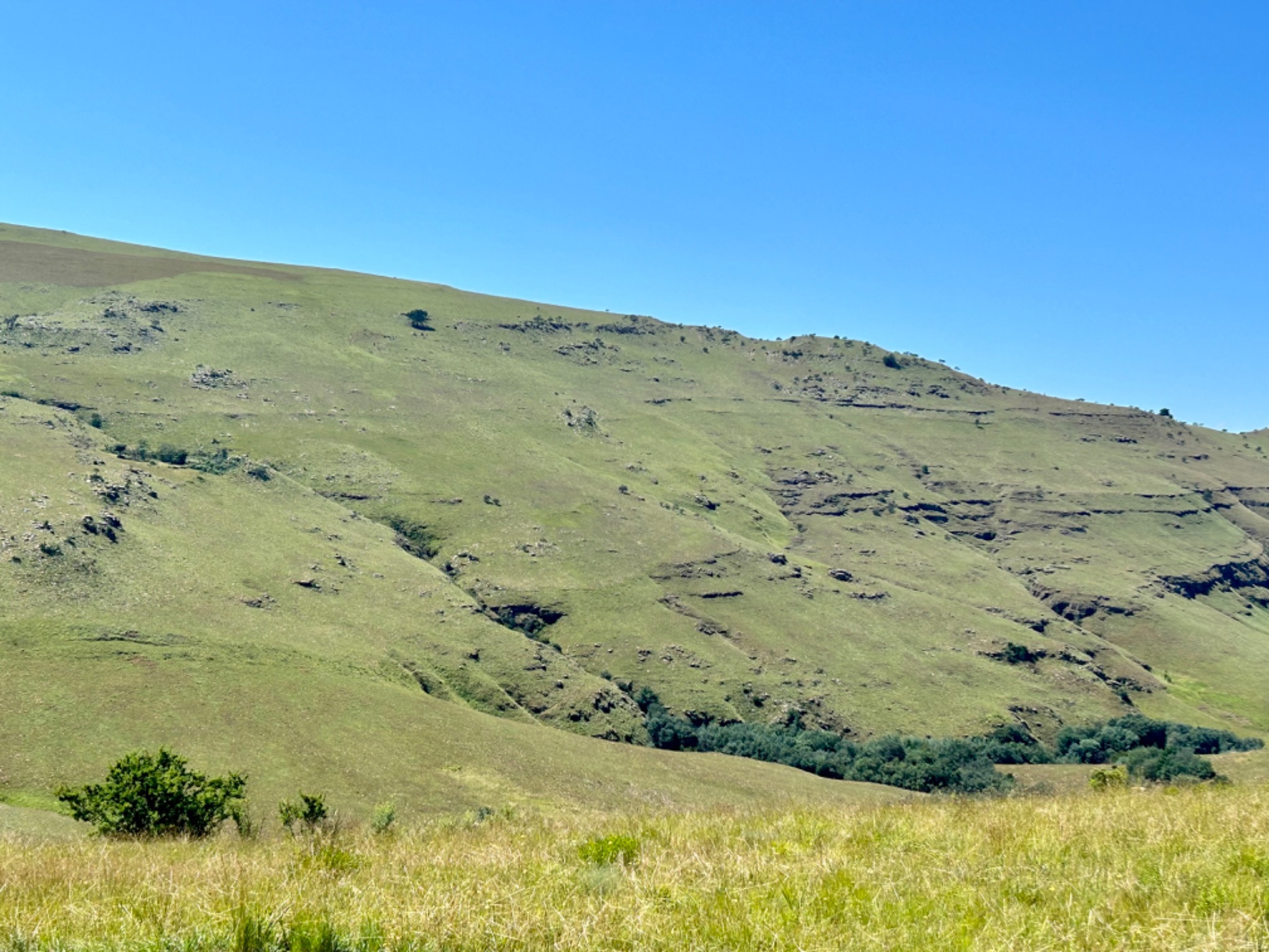 1250 m&sup2; vacant land for sale in Highland Gate