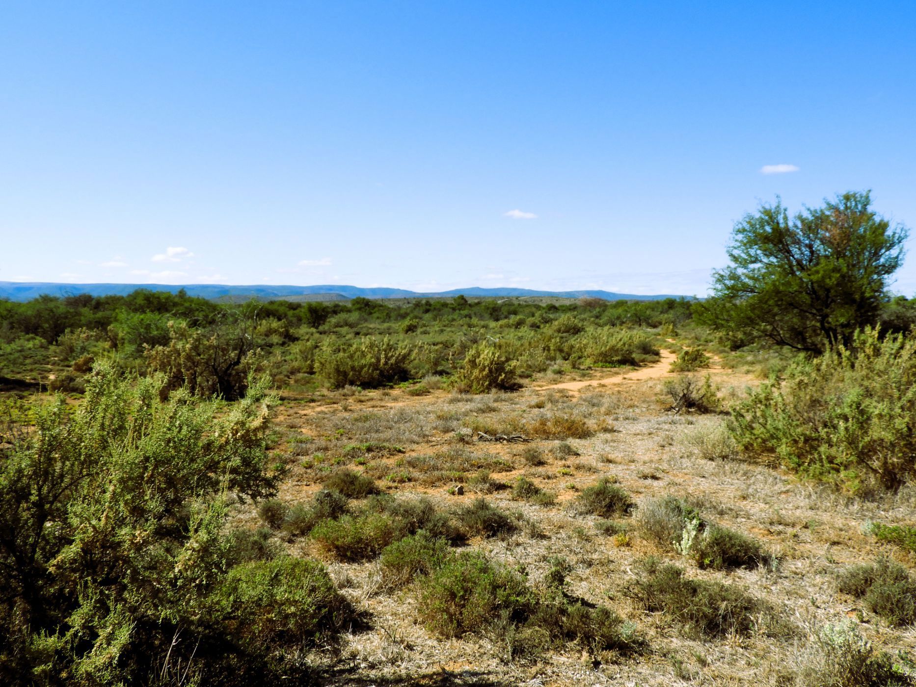 453.98 hectare Livestock Farm For Sale Pearston 1KK1650603 Pam Golding Properties