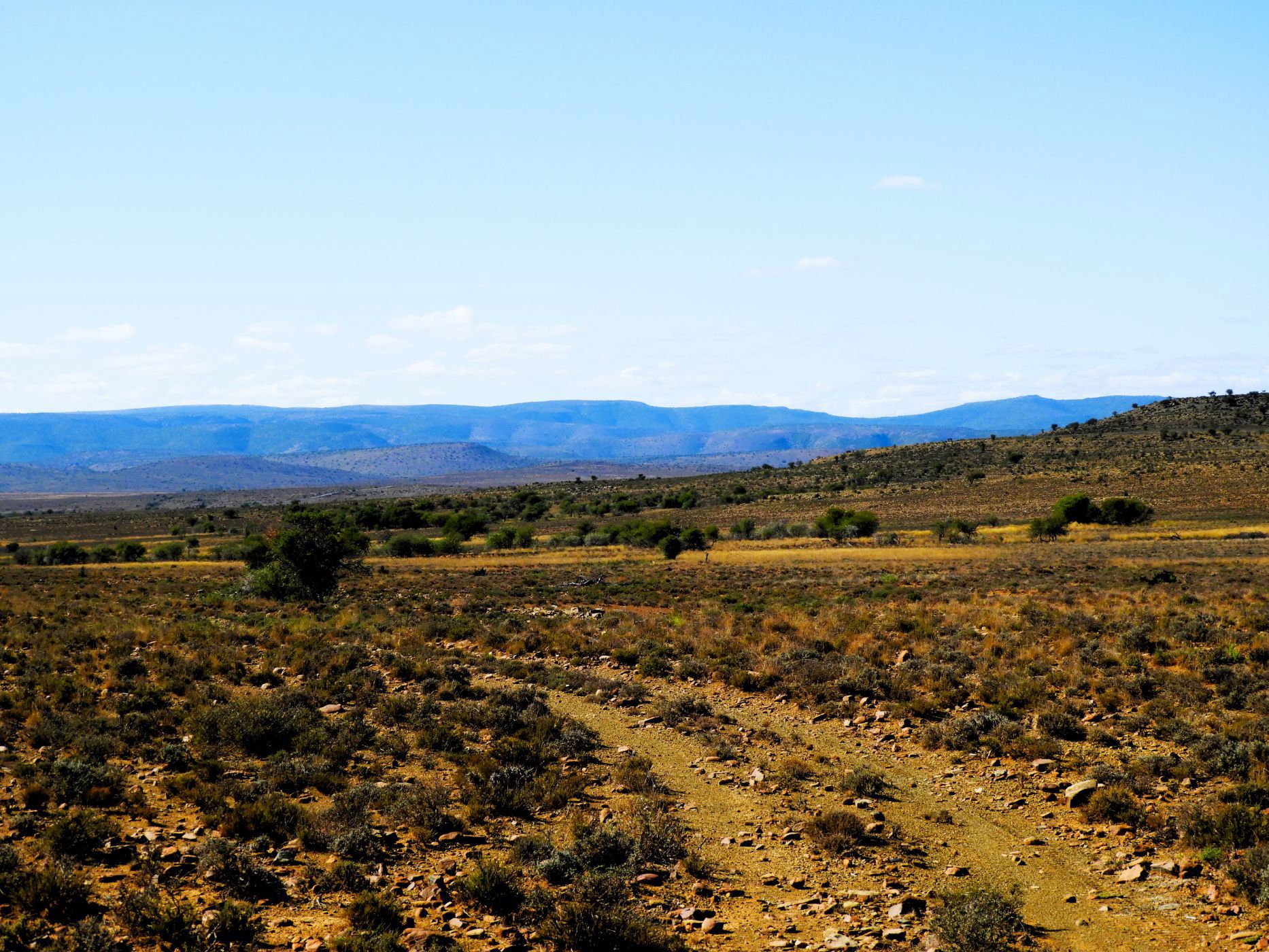 453.98 hectare Livestock Farm For Sale Pearston 1KK1650603 Pam Golding Properties