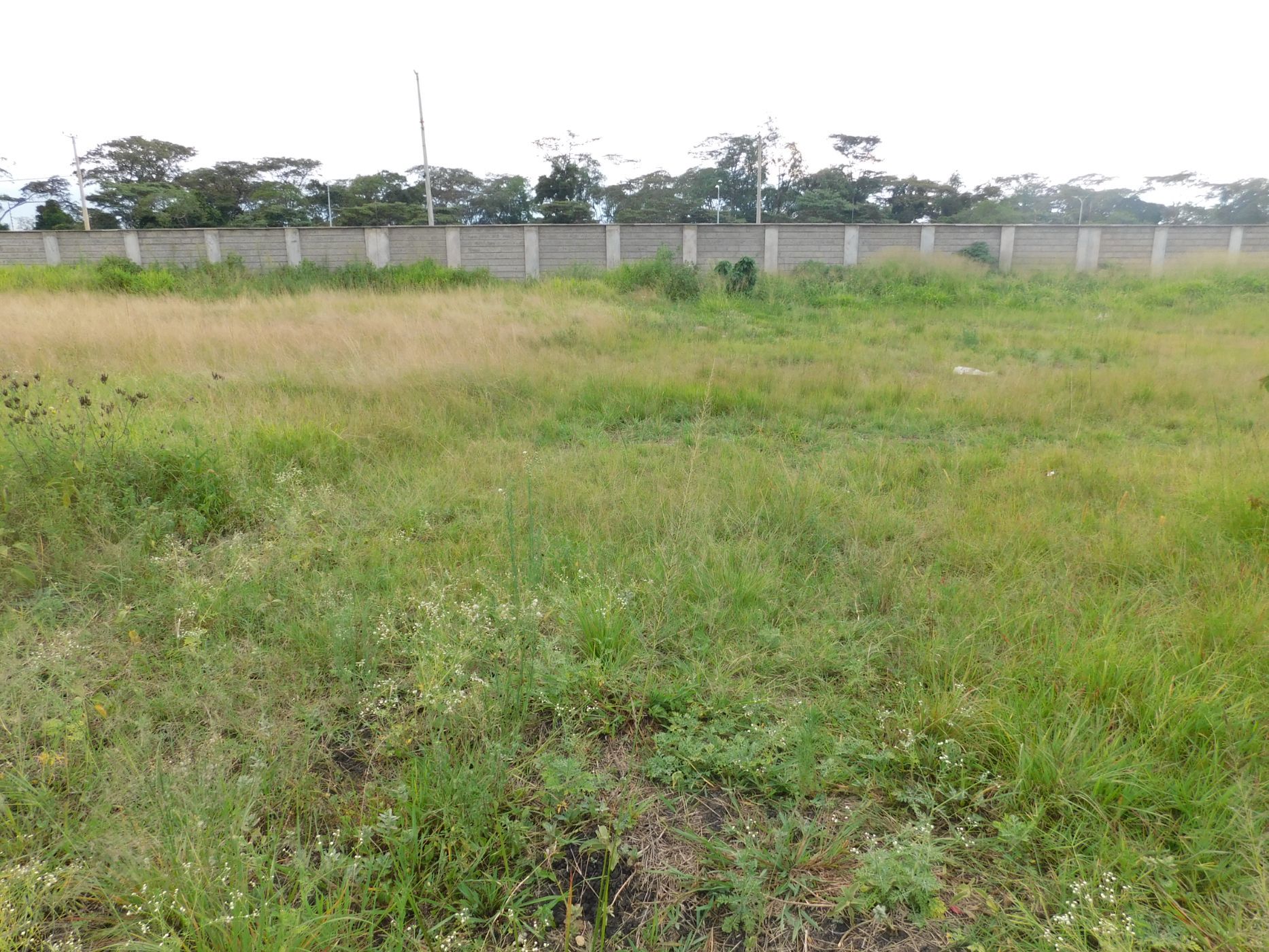 0.5 Acres Vacant Land For Sale Karen (Kenya) 3KE1651562 Pam