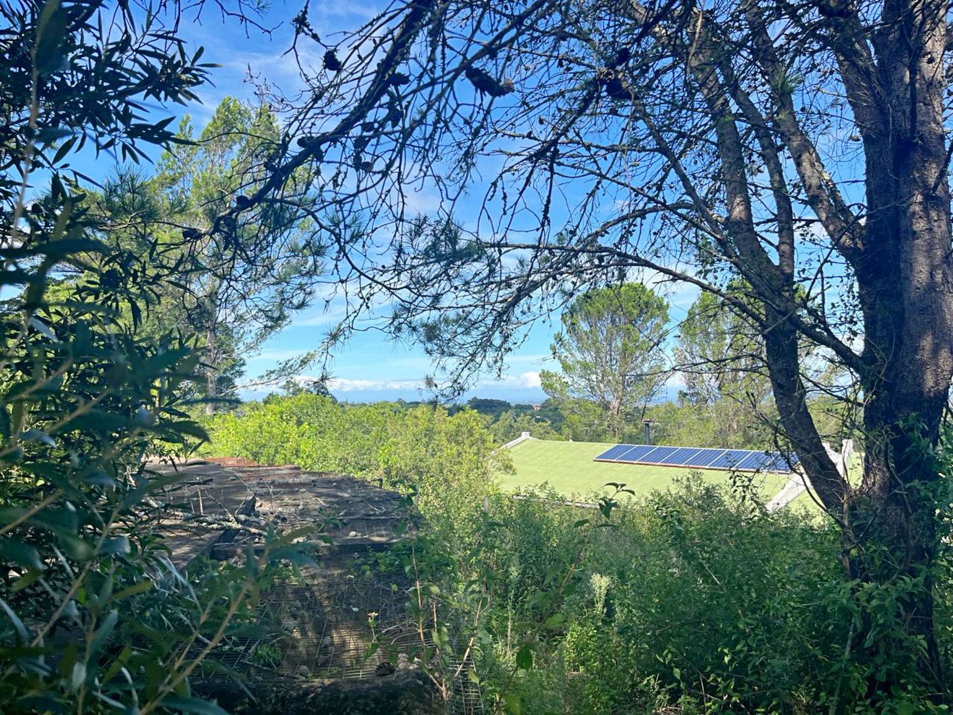 1171 m2 Residential Vacant Land For Sale Bathurst 1PF1651366 Pam