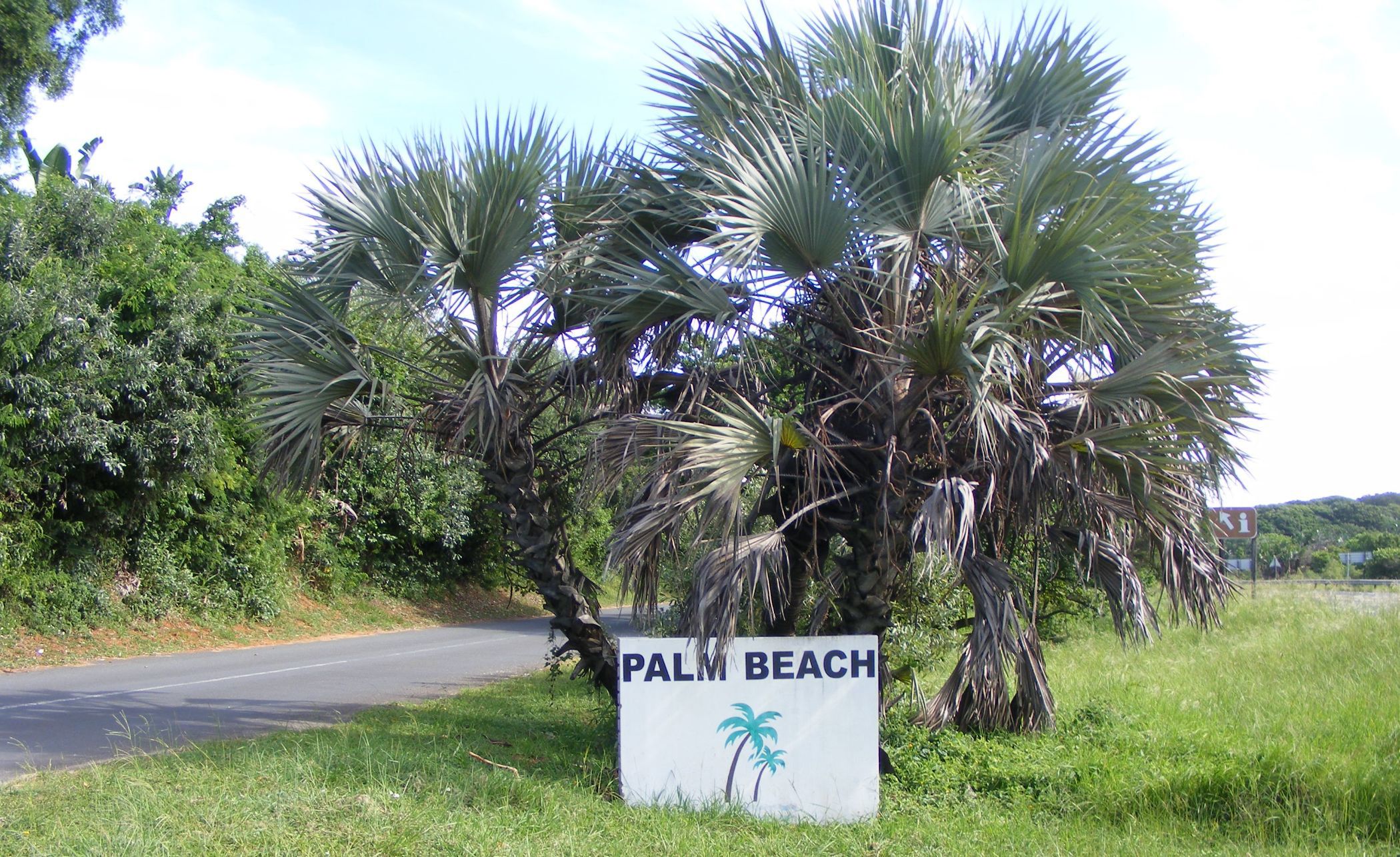 1440 m2 Residential Vacant Land For Sale Palm Beach 1PD1652850