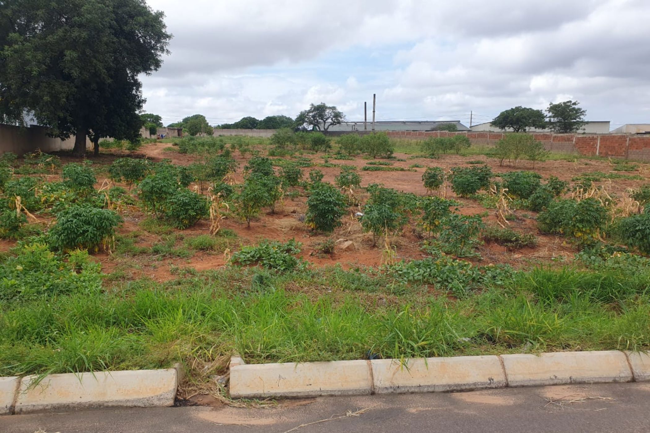6711.1 m&sup2; commercial vacant land for sale in Matola (Mozambique)