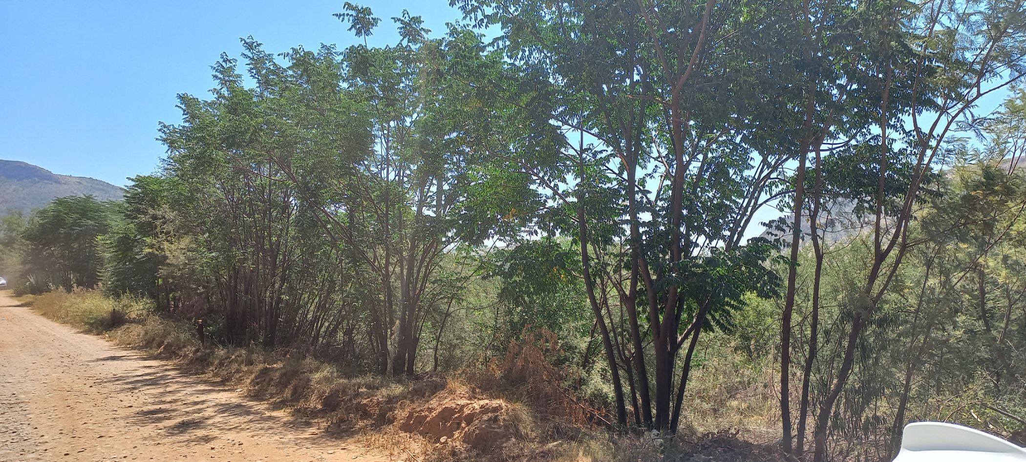 9398 m&sup2; vacant land for sale in Olifantsnek