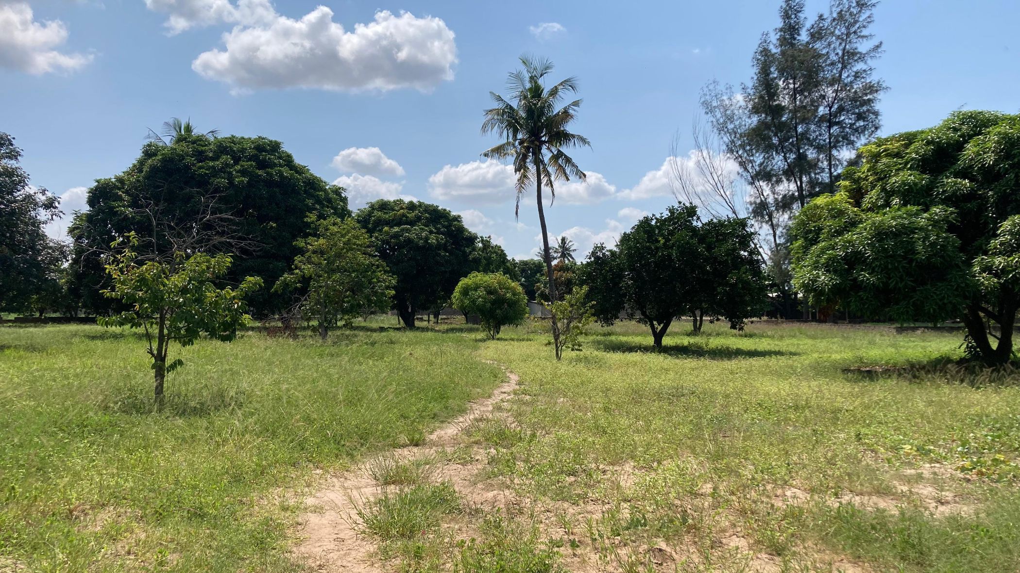1 bedroom residential vacant land for sale in Matola (Mozambique)