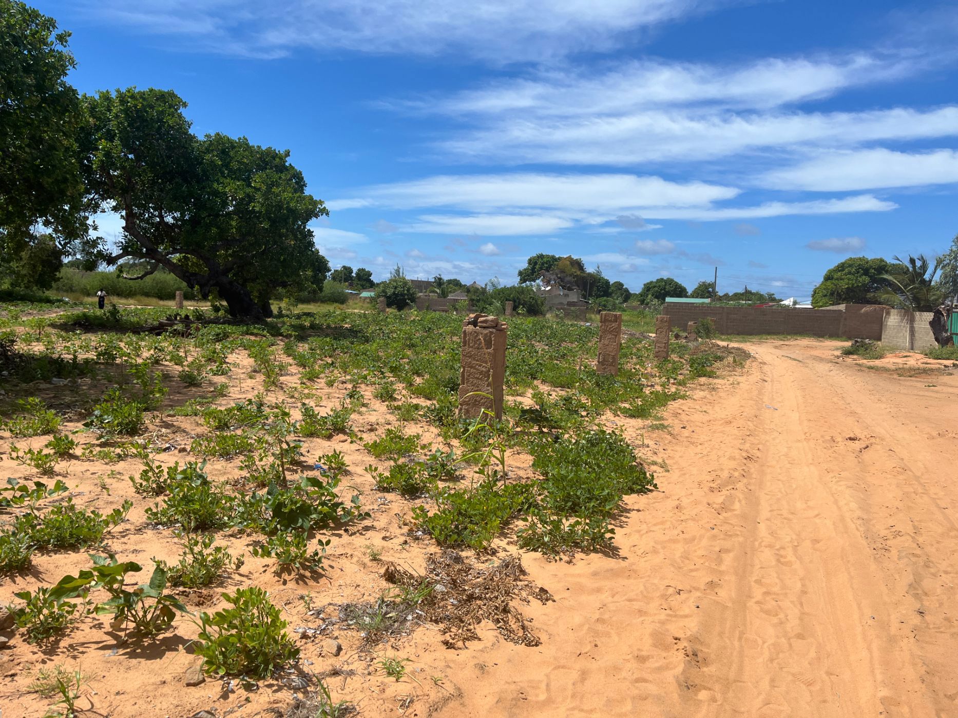 6000 m2 Vacant Land For Investment Pemba (Cabo Delgado, Mozambique