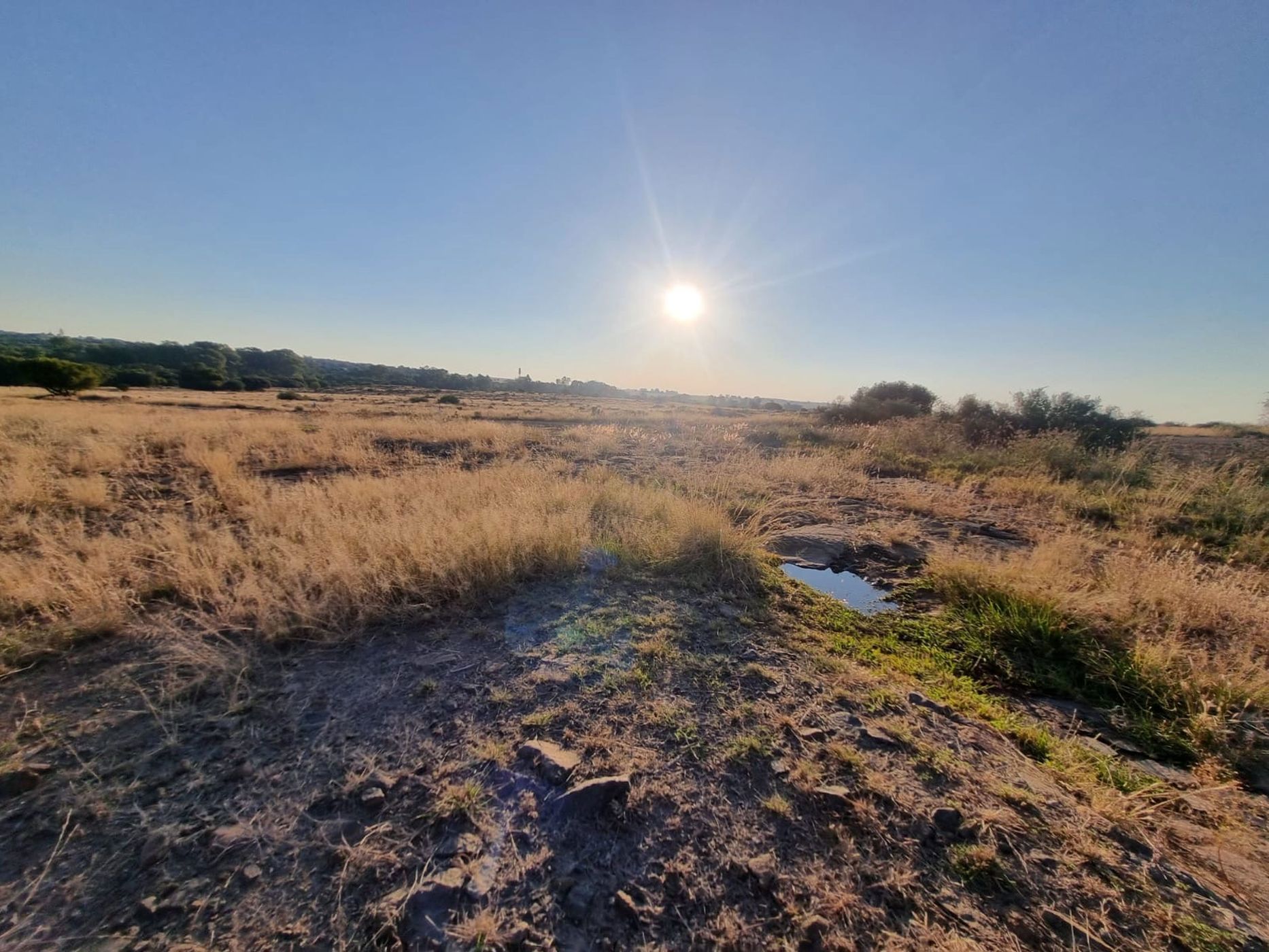 1000 m2 Vacant Land For Sale Woodland Hills 1BX1658639 Pam